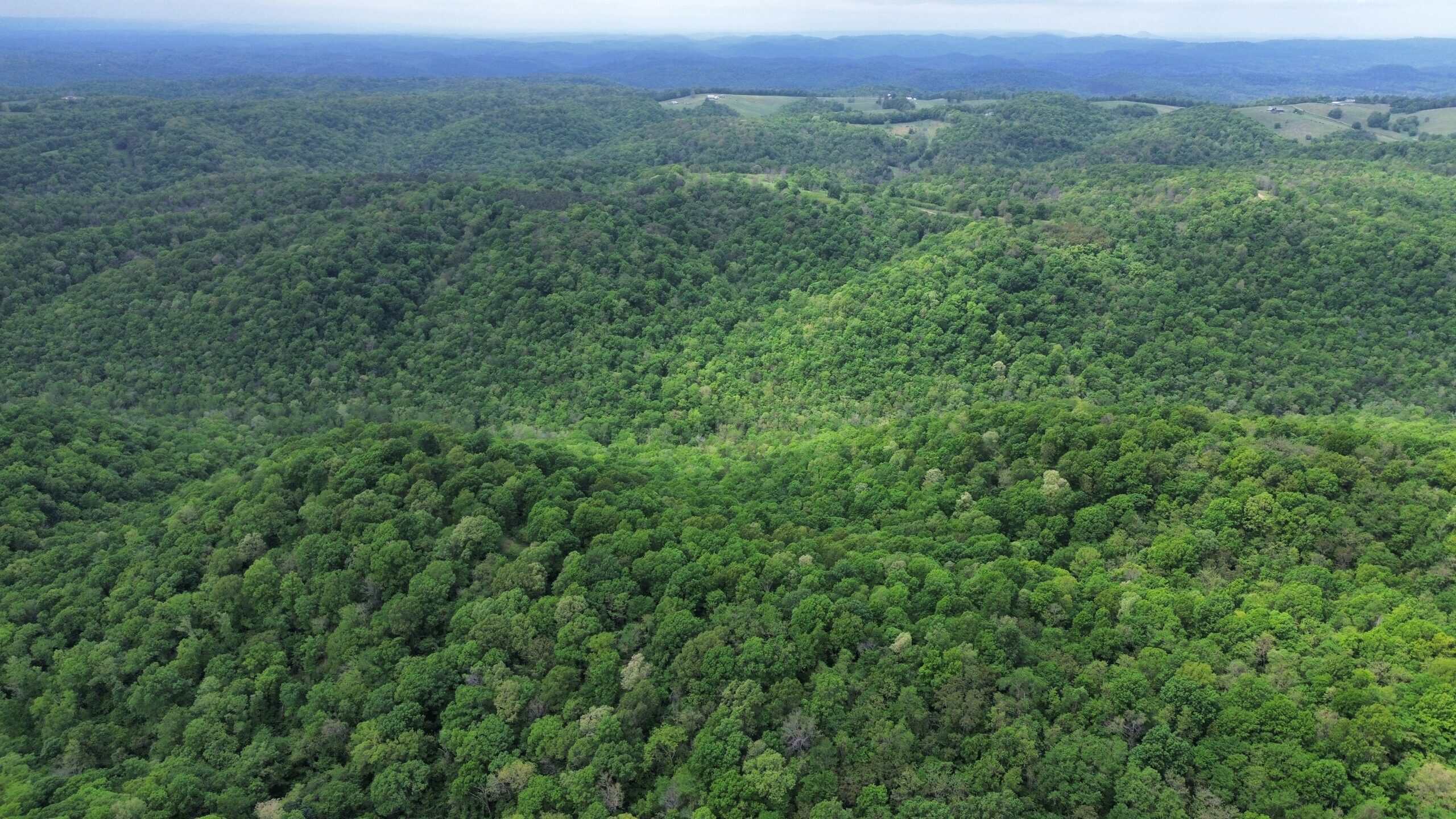 HUNTING AND RECREATIONAL LAND FOR SALE IN ARKANSAS OZARKS