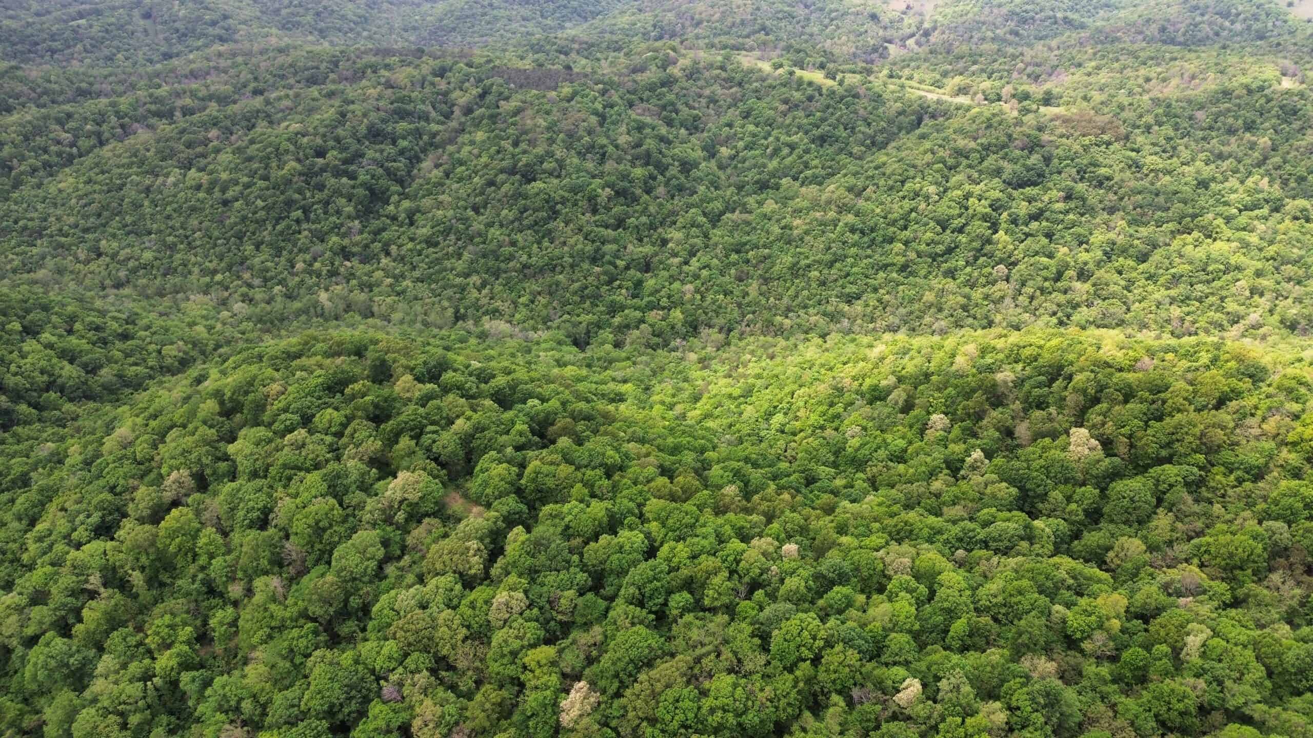 HUNTING AND RECREATIONAL LAND FOR SALE IN ARKANSAS OZARKS