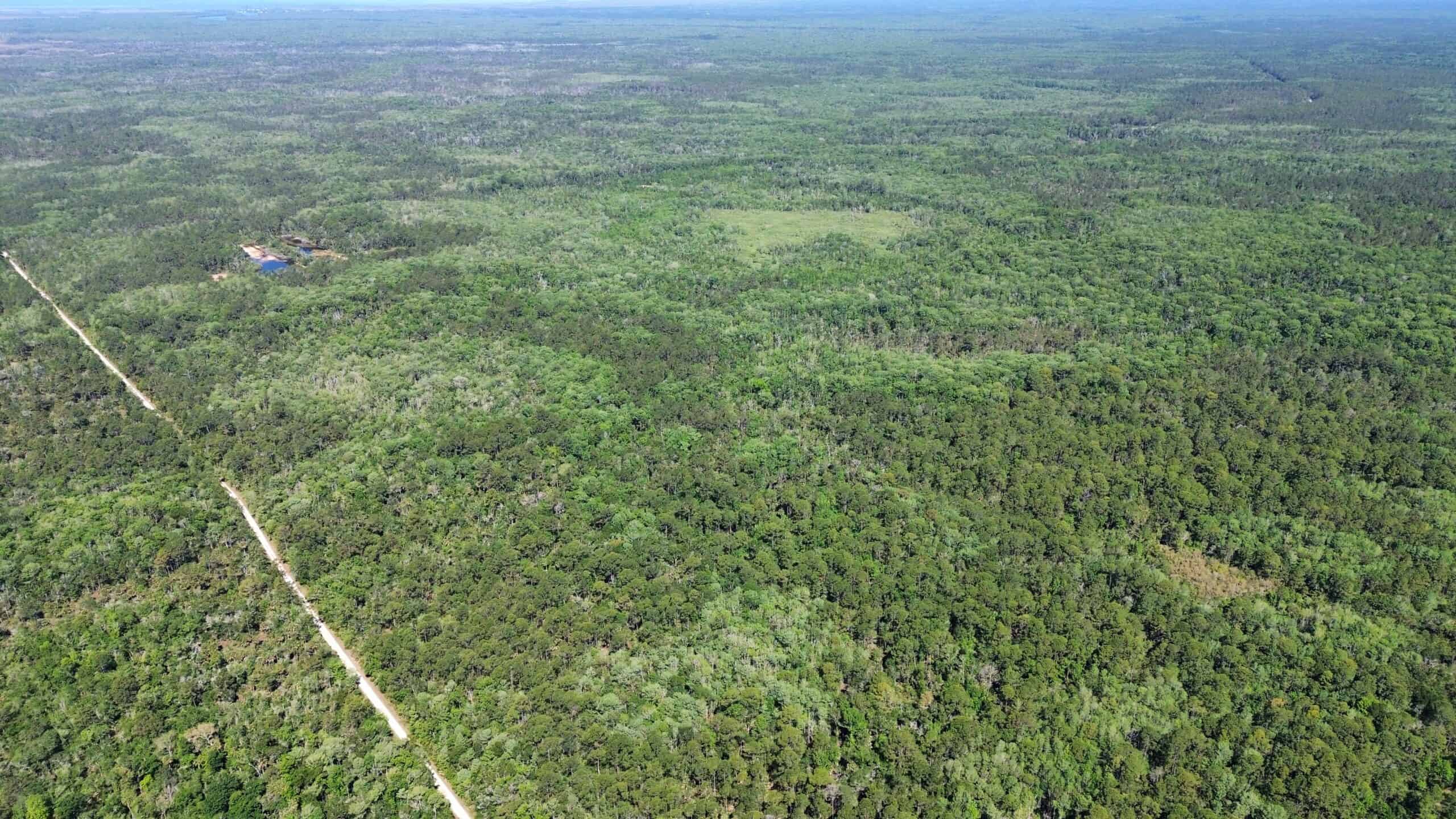 Hunting Tracts Near Suwannee River | Levy County | 40-192 Acres