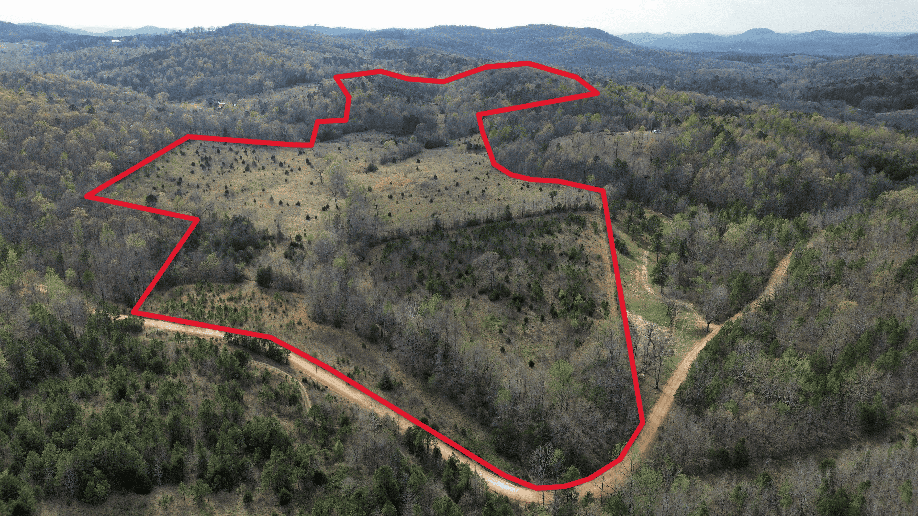 HUNTING LAND IN THE OZARK MOUNTAINS
