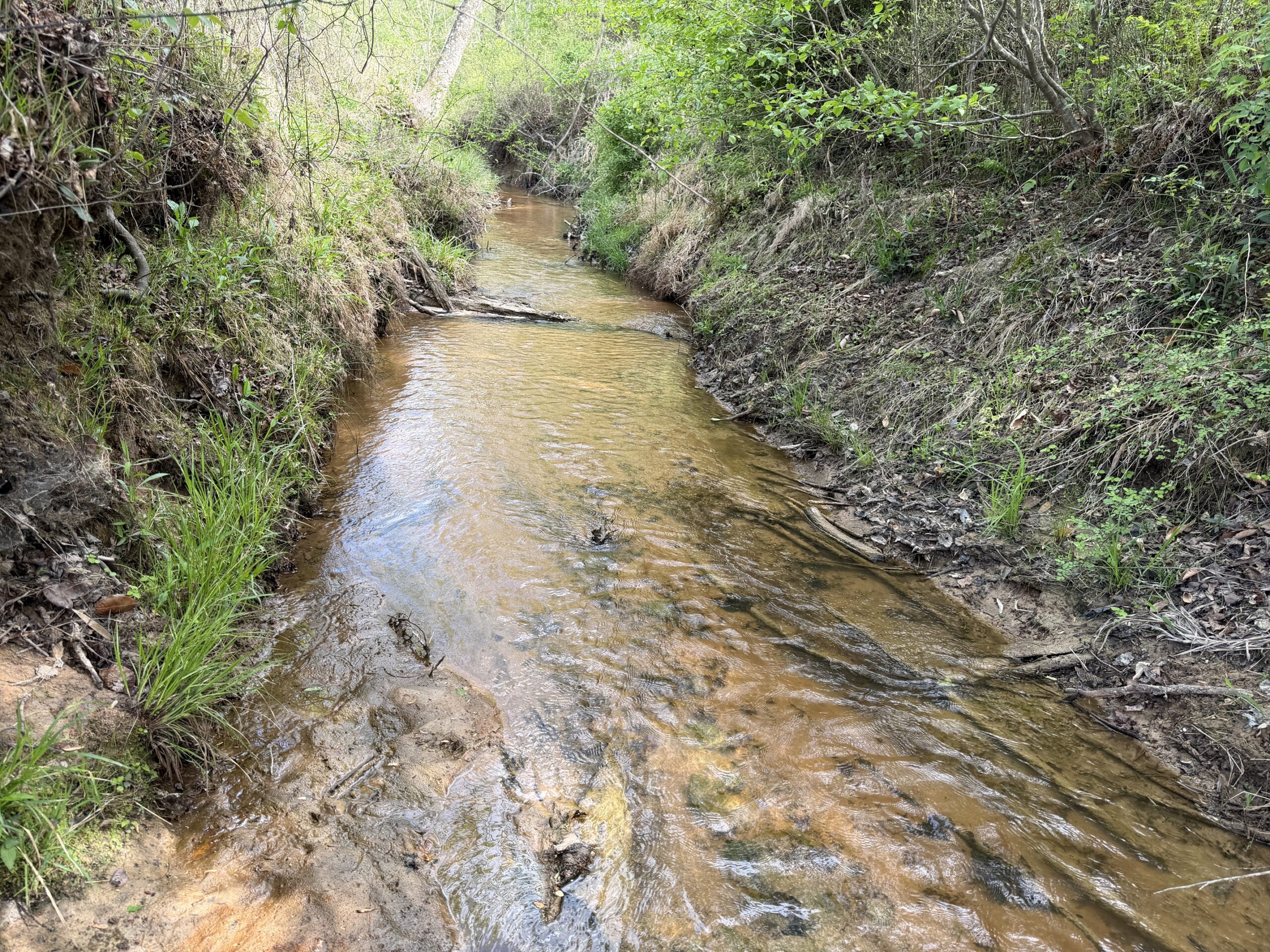 COUNTRY ESTATE FOR SALE IN TN, 61.5 AC, DEER & TURKEY HUNTING, CREEK, FIELDS, BARN