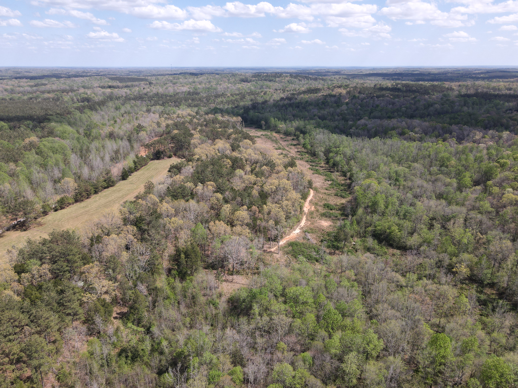 COUNTRY ESTATE FOR SALE IN TN, 61.5 AC, DEER & TURKEY HUNTING, CREEK, FIELDS, BARN