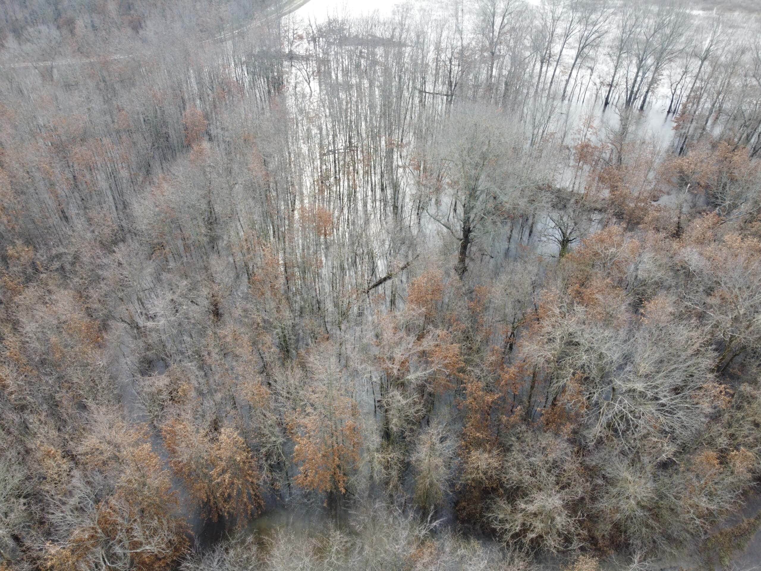 107 Se 40 Th Rd, Lamar, MO, 64759