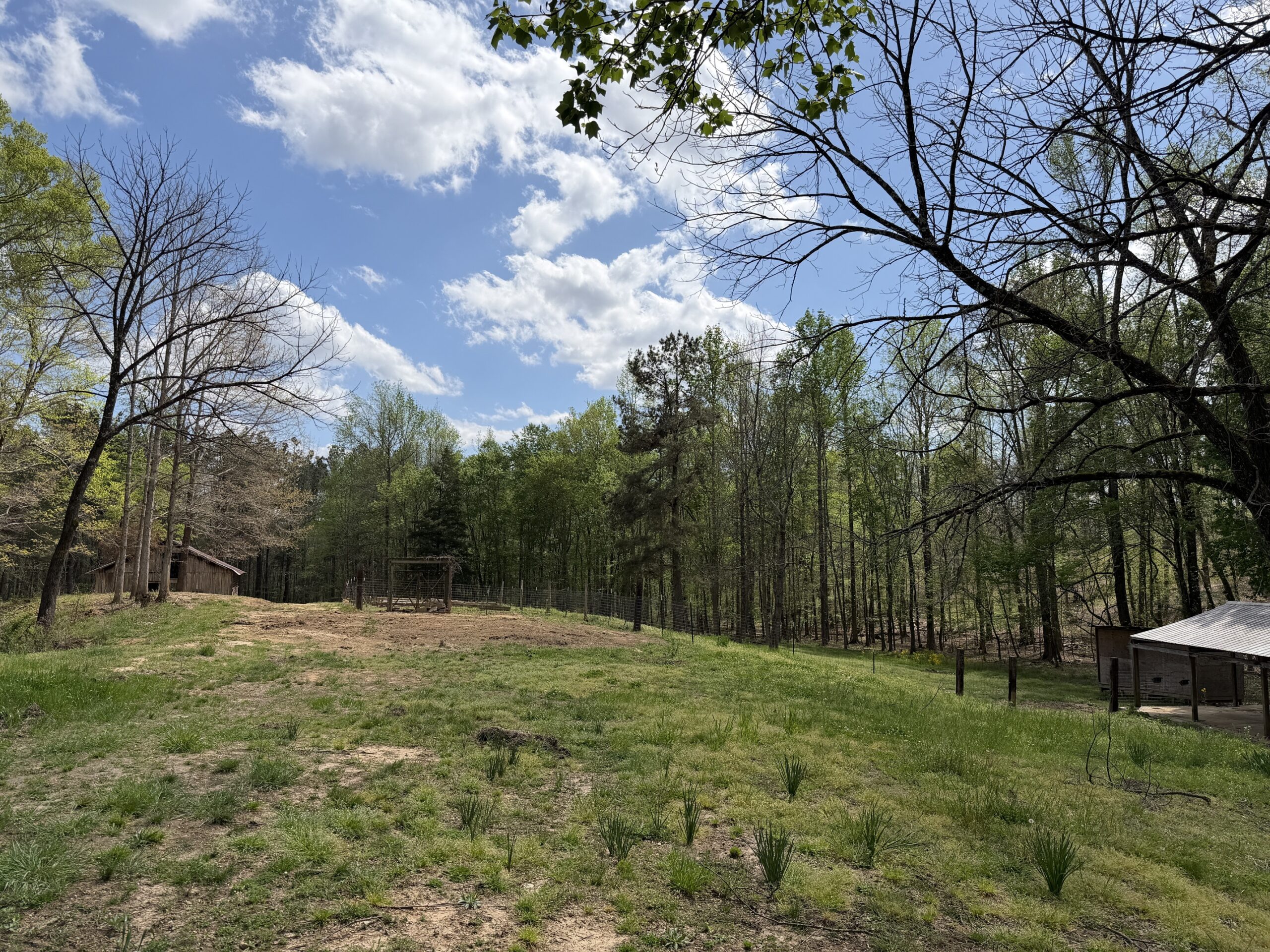 COUNTRY ESTATE FOR SALE IN TN, 61.5 AC, DEER & TURKEY HUNTING, CREEK, FIELDS, BARN