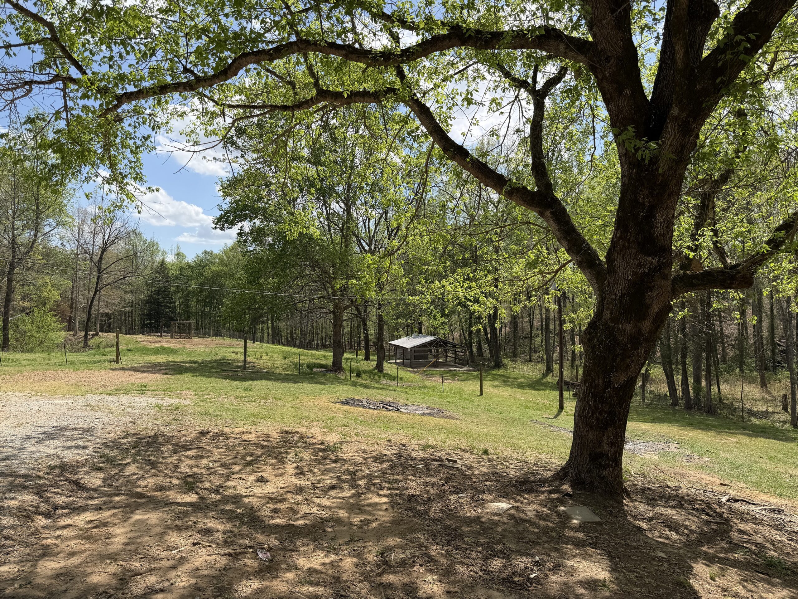 COUNTRY ESTATE FOR SALE IN TN, 61.5 AC, DEER & TURKEY HUNTING, CREEK, FIELDS, BARN