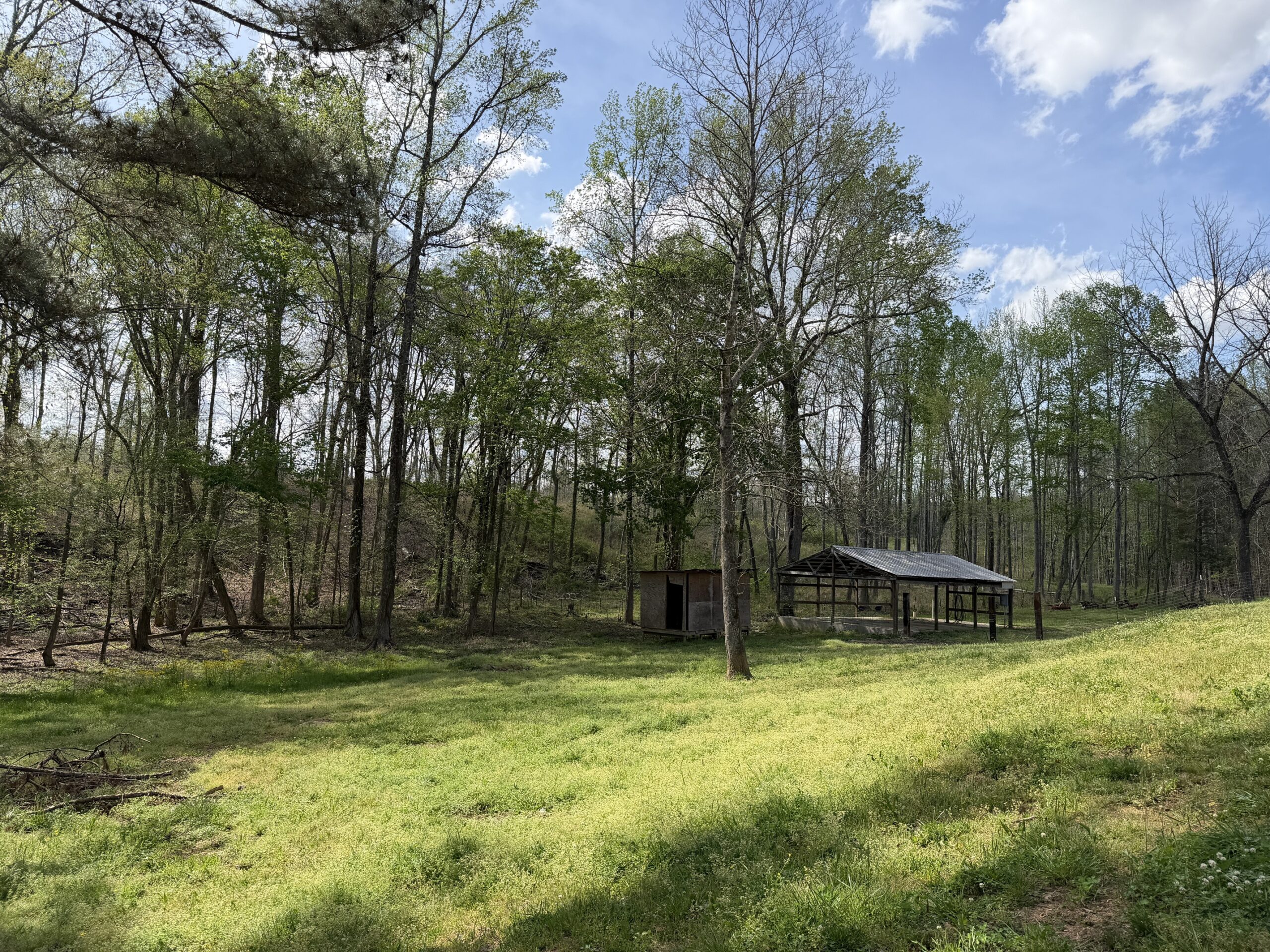 COUNTRY ESTATE FOR SALE IN TN, 61.5 AC, DEER & TURKEY HUNTING, CREEK, FIELDS, BARN