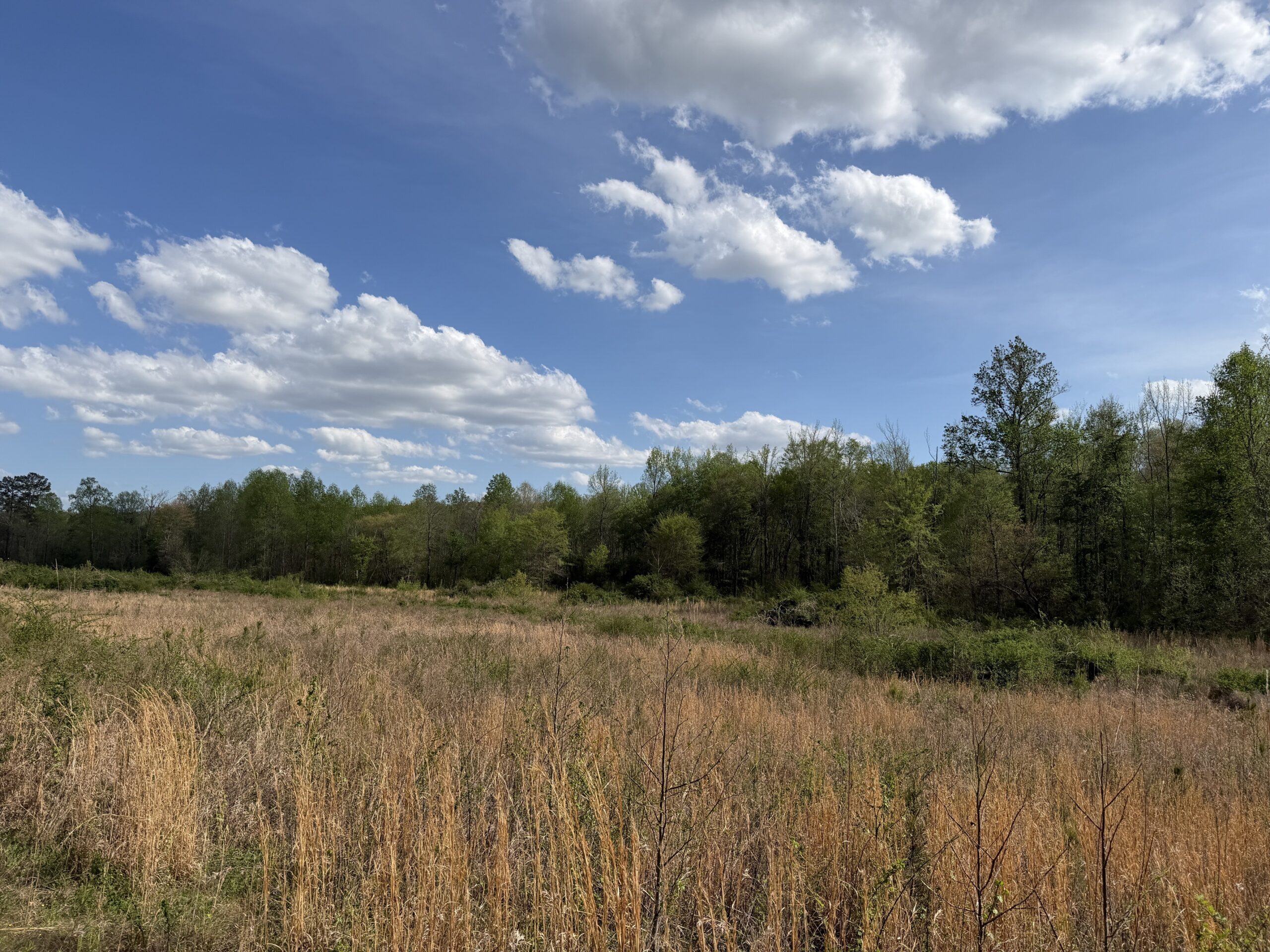 COUNTRY ESTATE FOR SALE IN TN, 61.5 AC, DEER & TURKEY HUNTING, CREEK, FIELDS, BARN