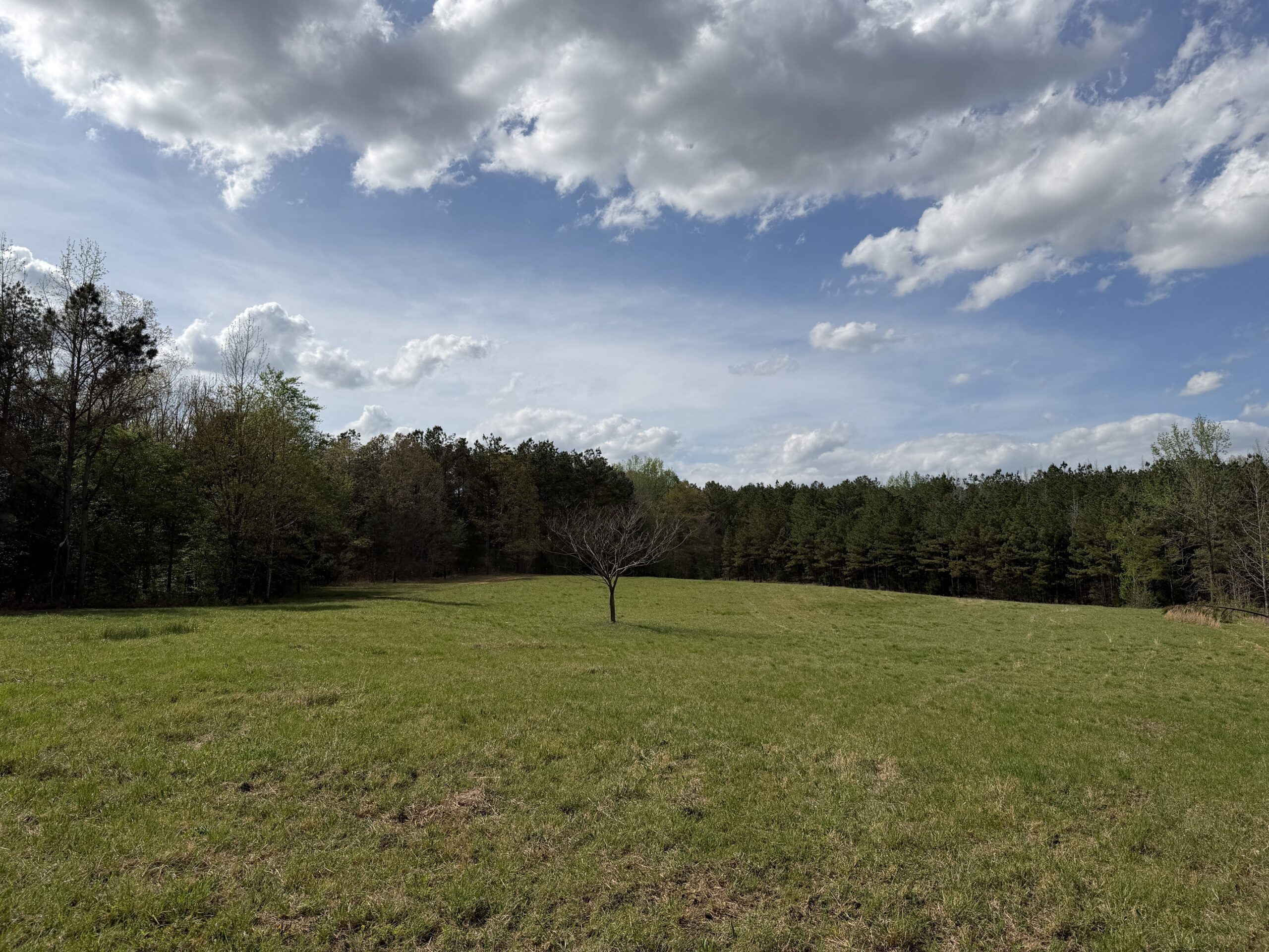 COUNTRY ESTATE FOR SALE IN TN, 61.5 AC, DEER & TURKEY HUNTING, CREEK, FIELDS, BARN