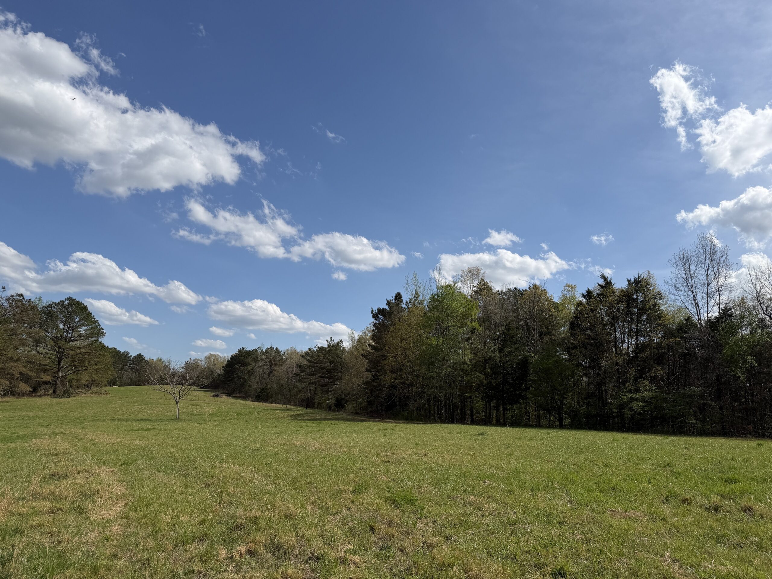 COUNTRY ESTATE FOR SALE IN TN, 61.5 AC, DEER & TURKEY HUNTING, CREEK, FIELDS, BARN