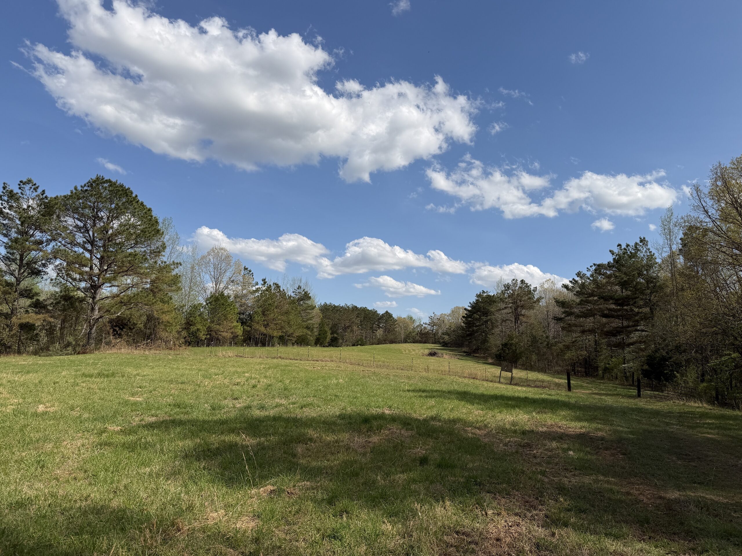 COUNTRY ESTATE FOR SALE IN TN, 61.5 AC, DEER & TURKEY HUNTING, CREEK, FIELDS, BARN