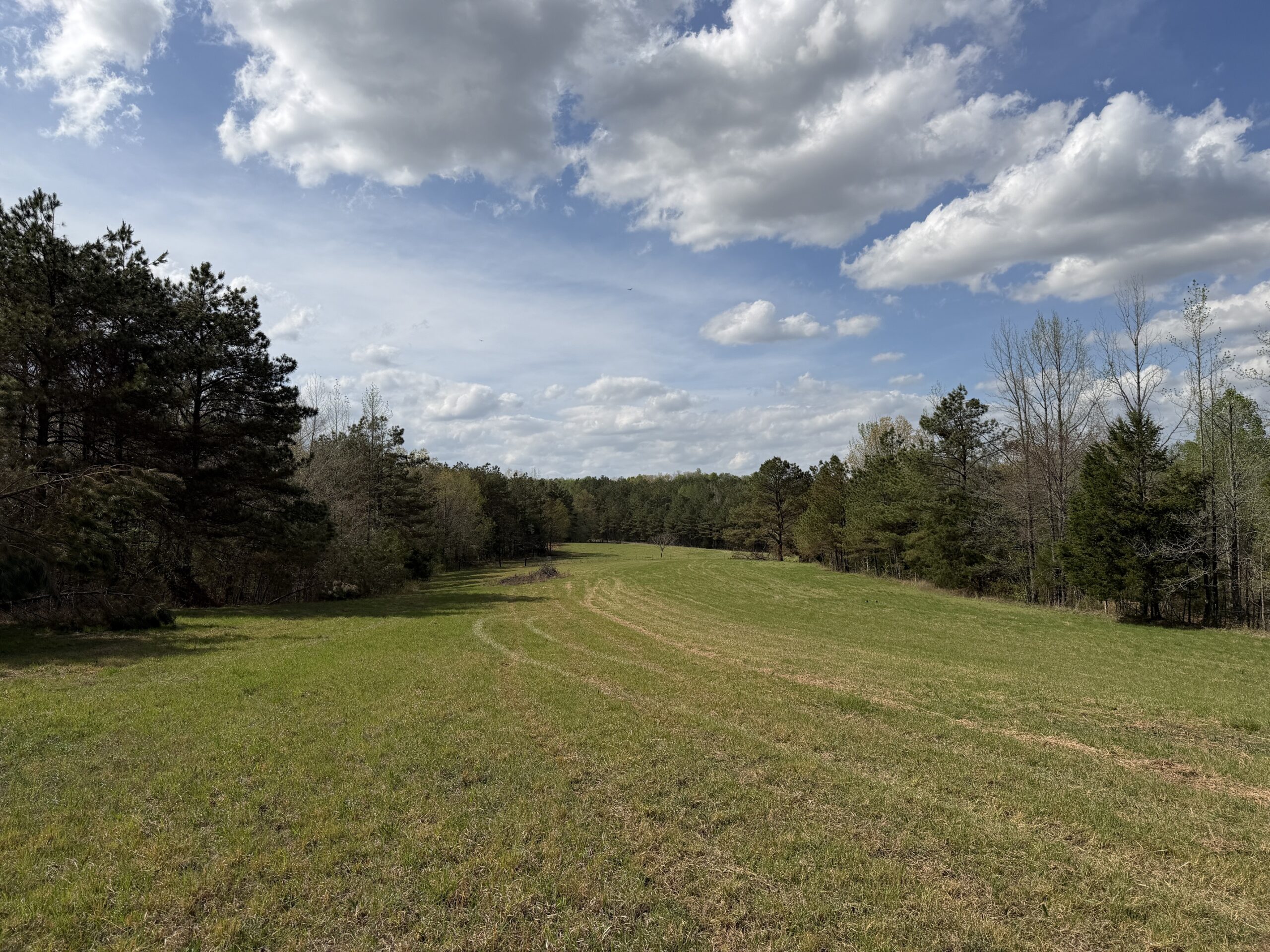 COUNTRY ESTATE FOR SALE IN TN, 61.5 AC, DEER & TURKEY HUNTING, CREEK, FIELDS, BARN