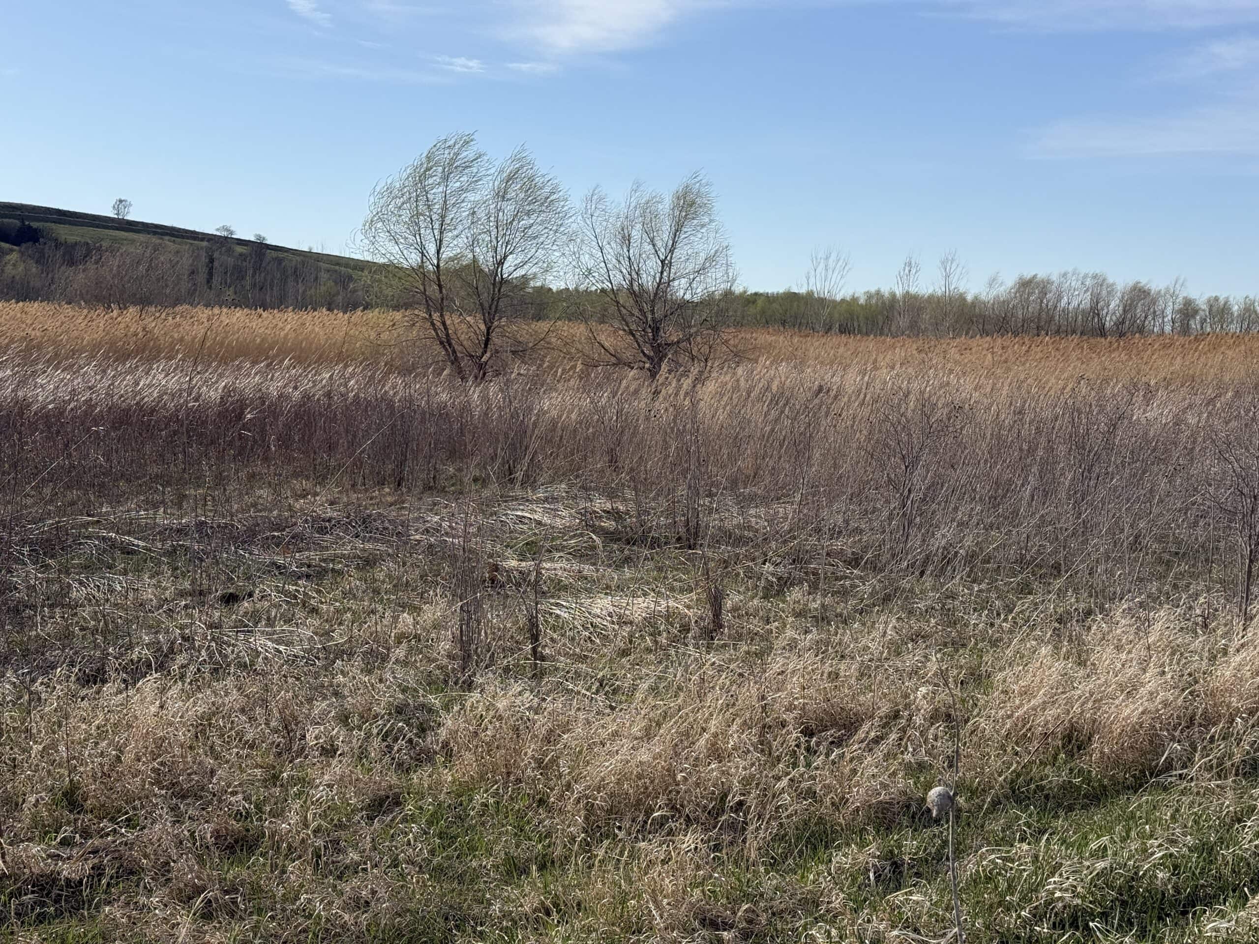 Nebraska Hunting Property For Sale