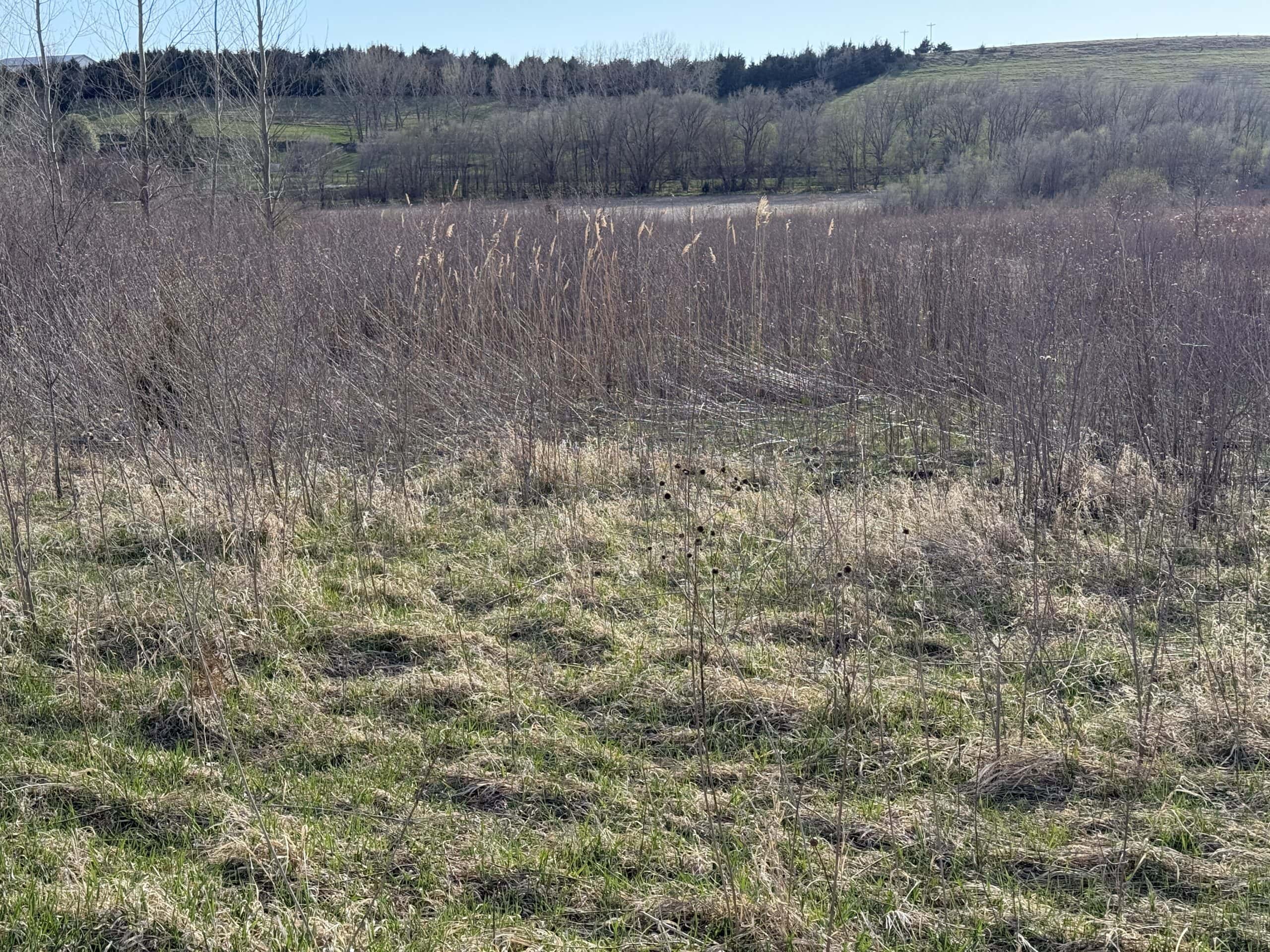 Nebraska Hunting Property For Sale