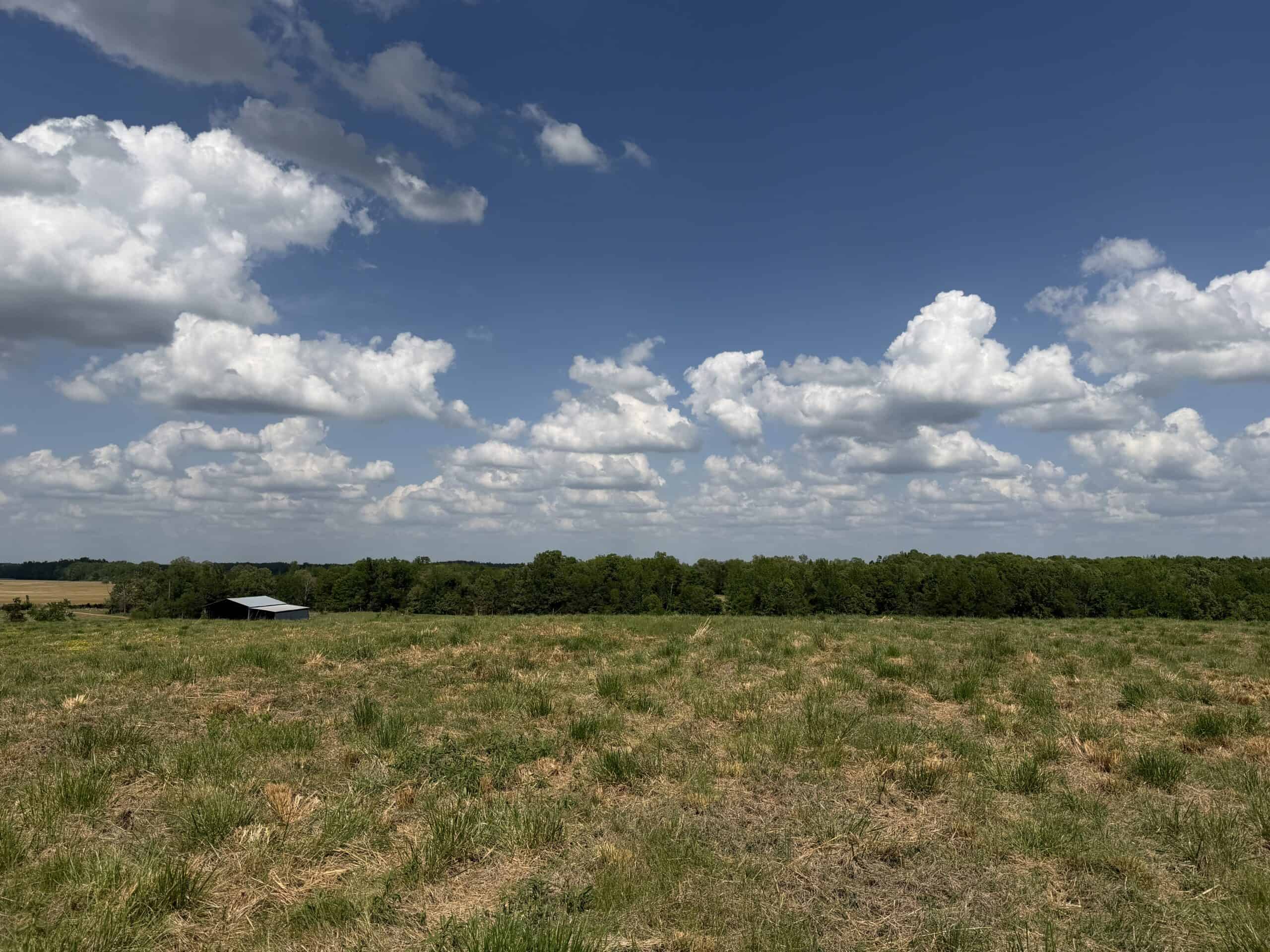 HOBBY FARM FOR SALE IN TN. AMAZING BUILDING SITES WITH VIEWS AND DEER HUNTING LAND FOR SALE IN TENNESSEE.