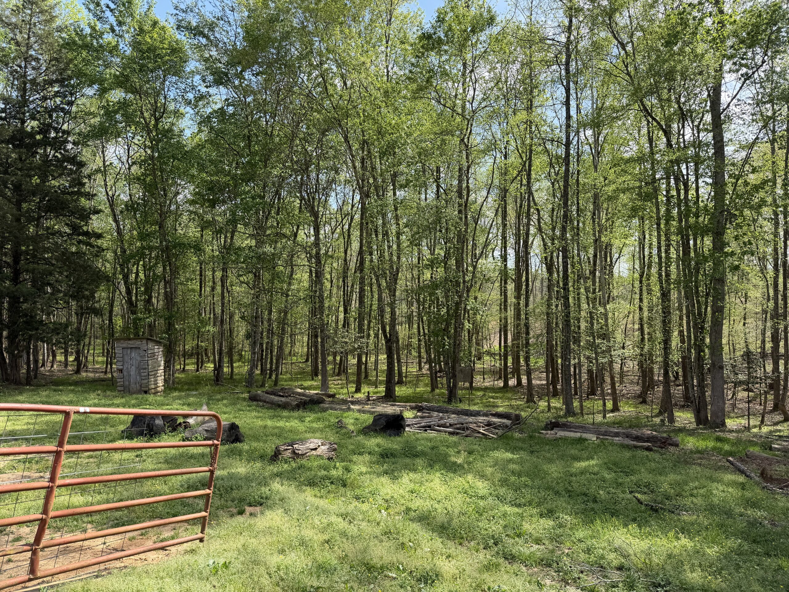 COUNTRY ESTATE FOR SALE IN TN, 61.5 AC, DEER & TURKEY HUNTING, CREEK, FIELDS, BARN