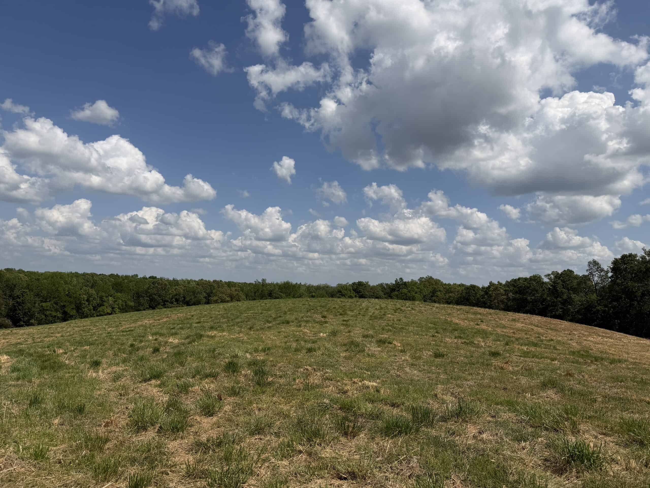 HOBBY FARM FOR SALE IN TN. AMAZING BUILDING SITES WITH VIEWS AND DEER HUNTING LAND FOR SALE IN TENNESSEE.