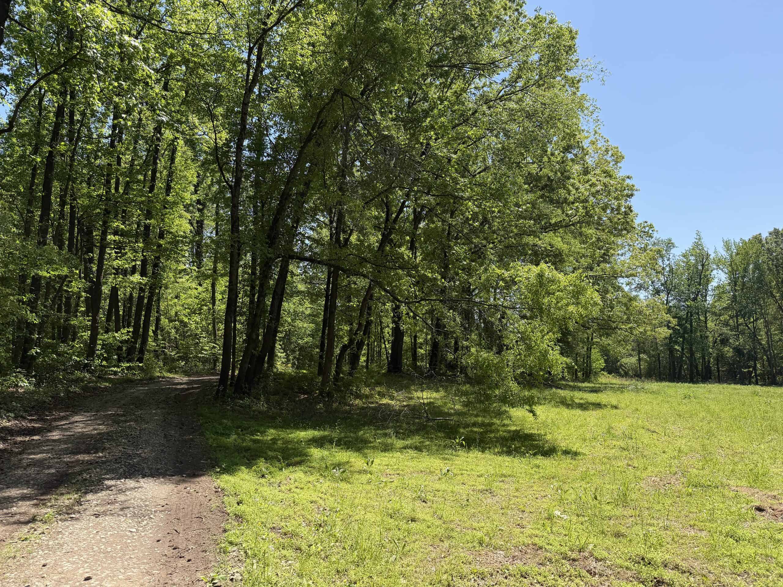 PRIVATE COUNTRY HOME FOR SALE IN TN 35 AC SHOP CREEK FIELDS