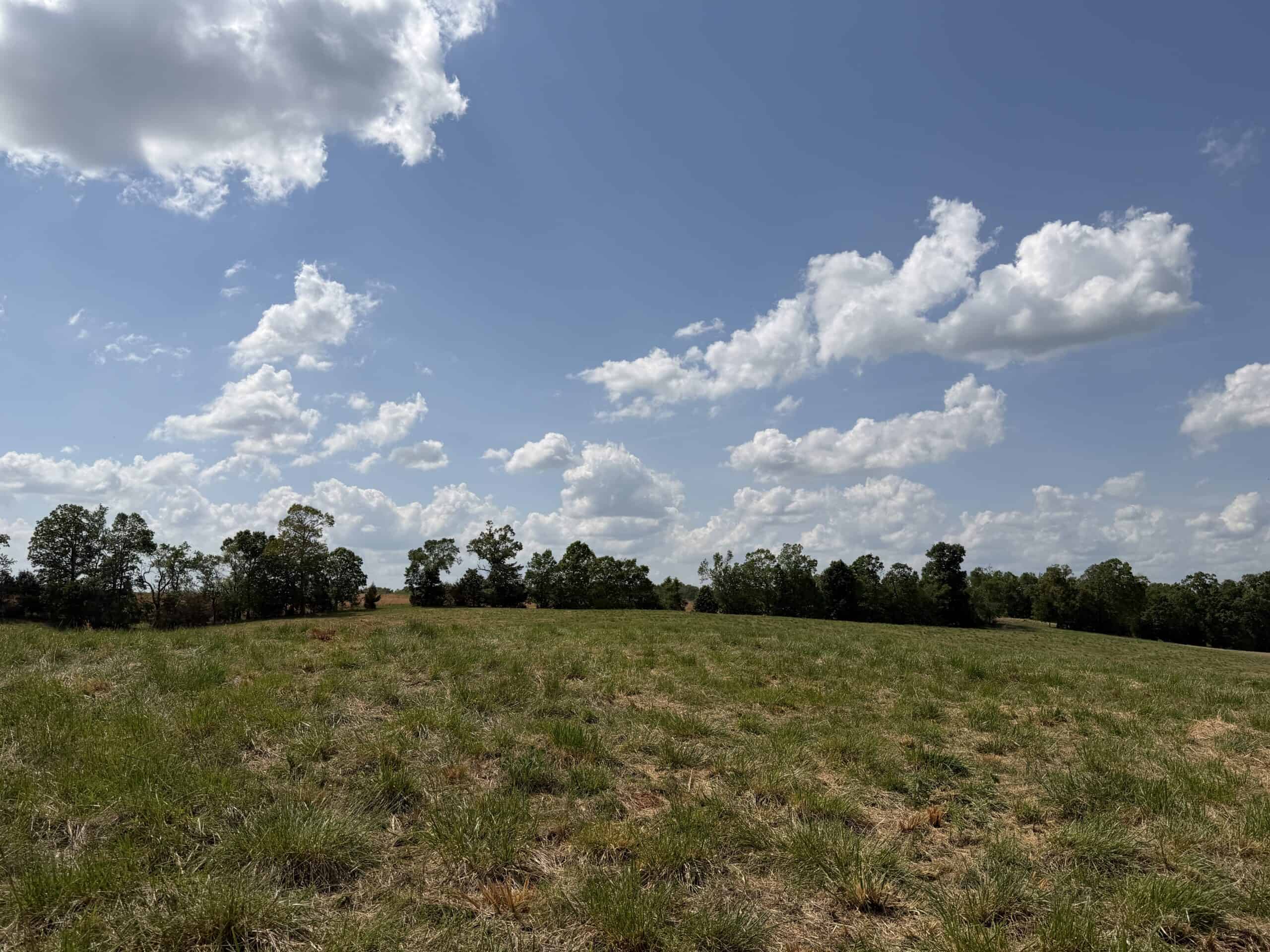 HOBBY FARM FOR SALE IN TN. AMAZING BUILDING SITES WITH VIEWS AND DEER HUNTING LAND FOR SALE IN TENNESSEE.