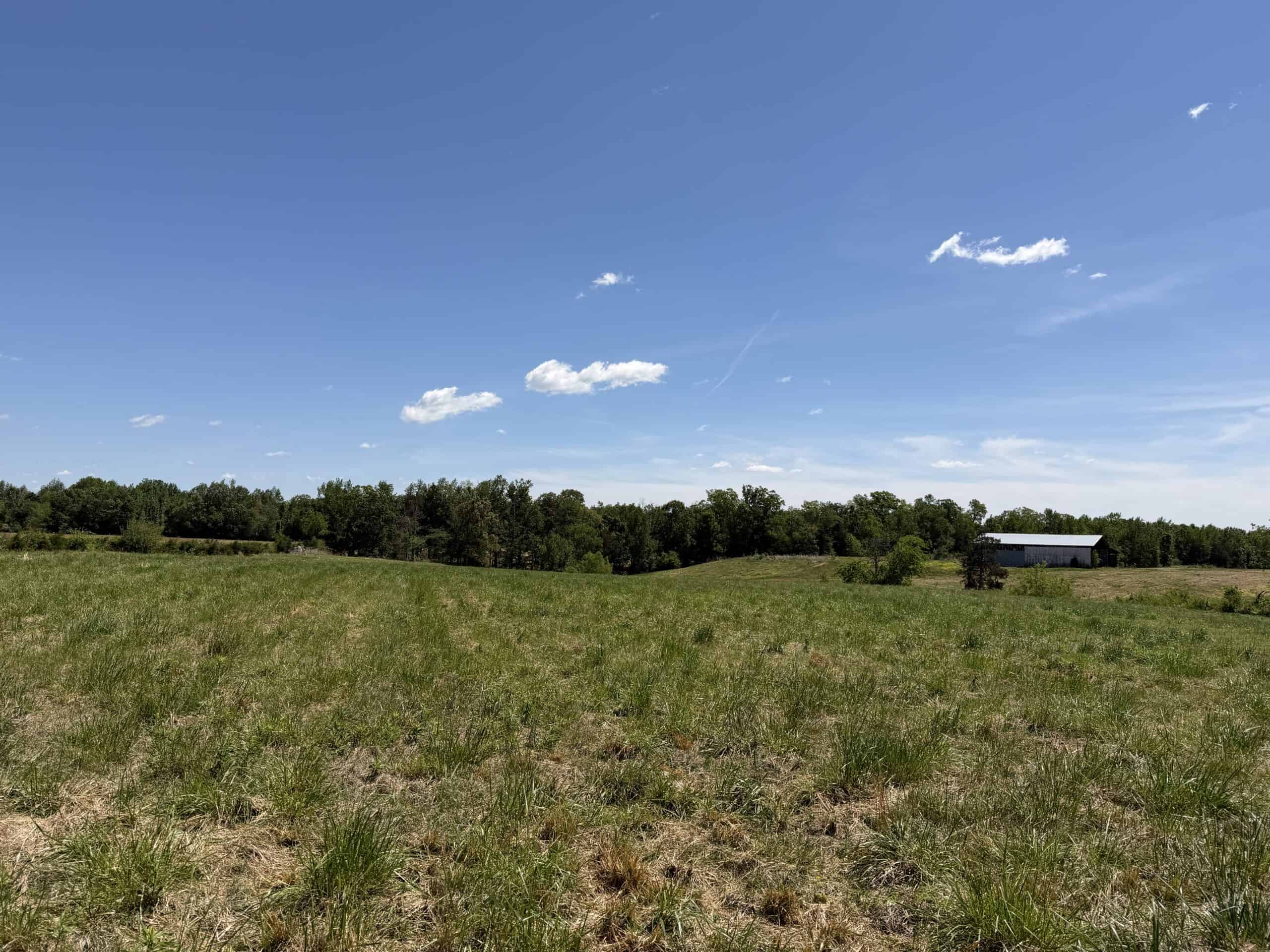 HOBBY FARM FOR SALE IN TN. AMAZING BUILDING SITES WITH VIEWS AND DEER HUNTING LAND FOR SALE IN TENNESSEE.