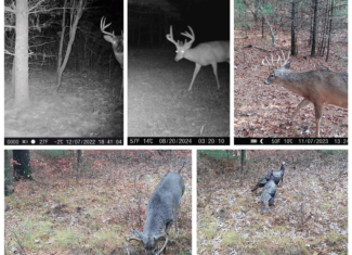 17.54-Acre Adams County, Wisconsin Buildable Land for Sale | Recreational, Investment & Development Potential