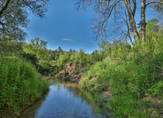 Three Ridges at Big Creek | 70± Acres of Recreational Land for Sale Near Lake Redstone | Juneau County, WI