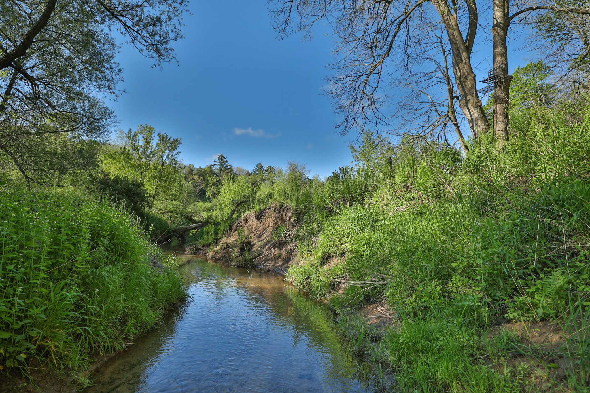 Three Ridges at Big Creek | 70± Acres of Recreational Land for Sale Near Lake Redstone | Juneau County, WI