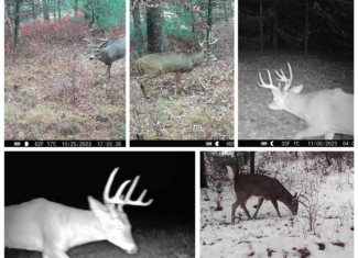 17.54-Acre Adams County, Wisconsin Buildable Land for Sale | Recreational, Investment & Development Potential