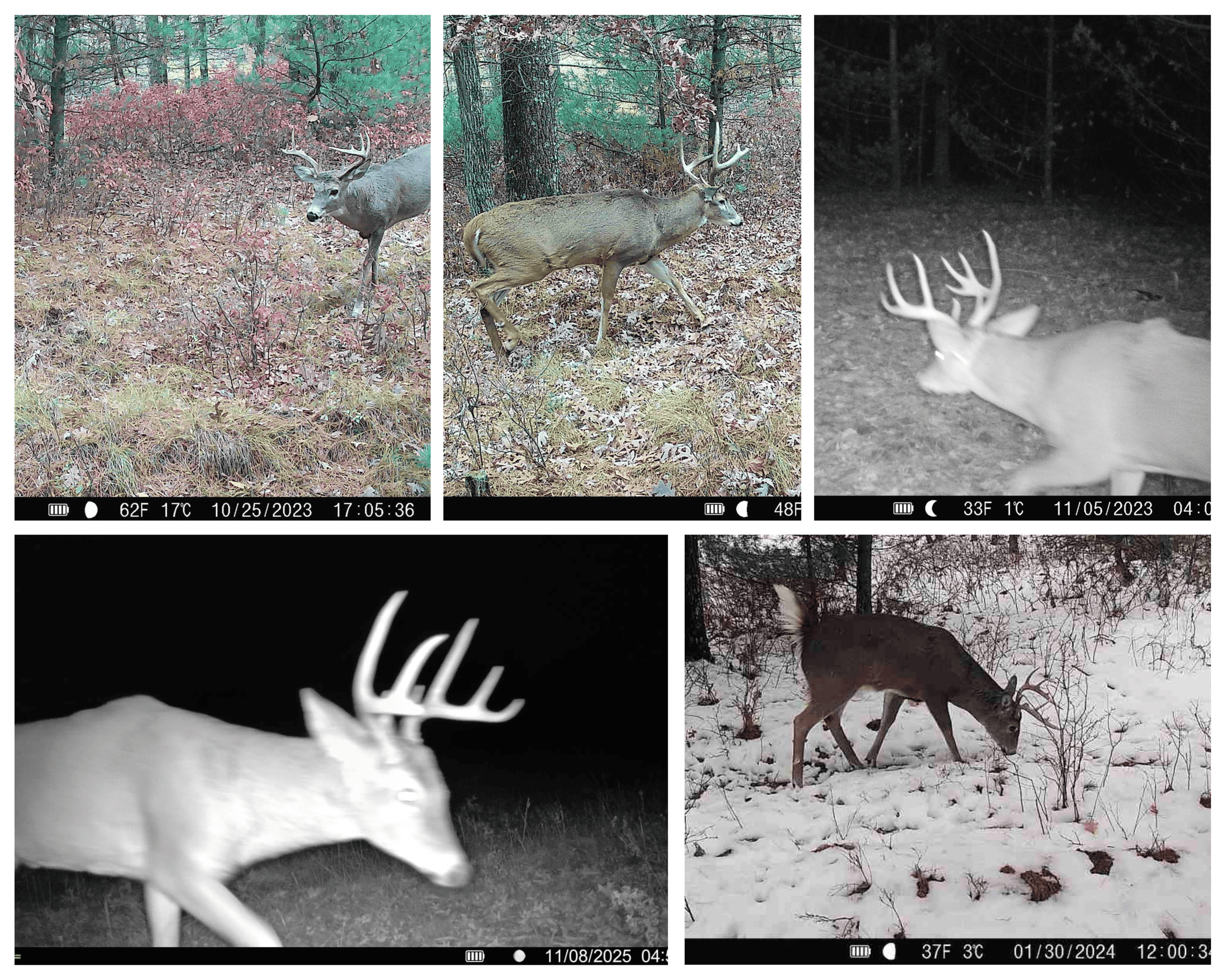 17.54-Acre Adams County, Wisconsin Buildable Land for Sale | Recreational, Investment & Development Potential
