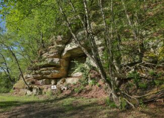 Three Ridges at Big Creek | 70± Acres of Recreational Land for Sale Near Lake Redstone | Juneau County, WI