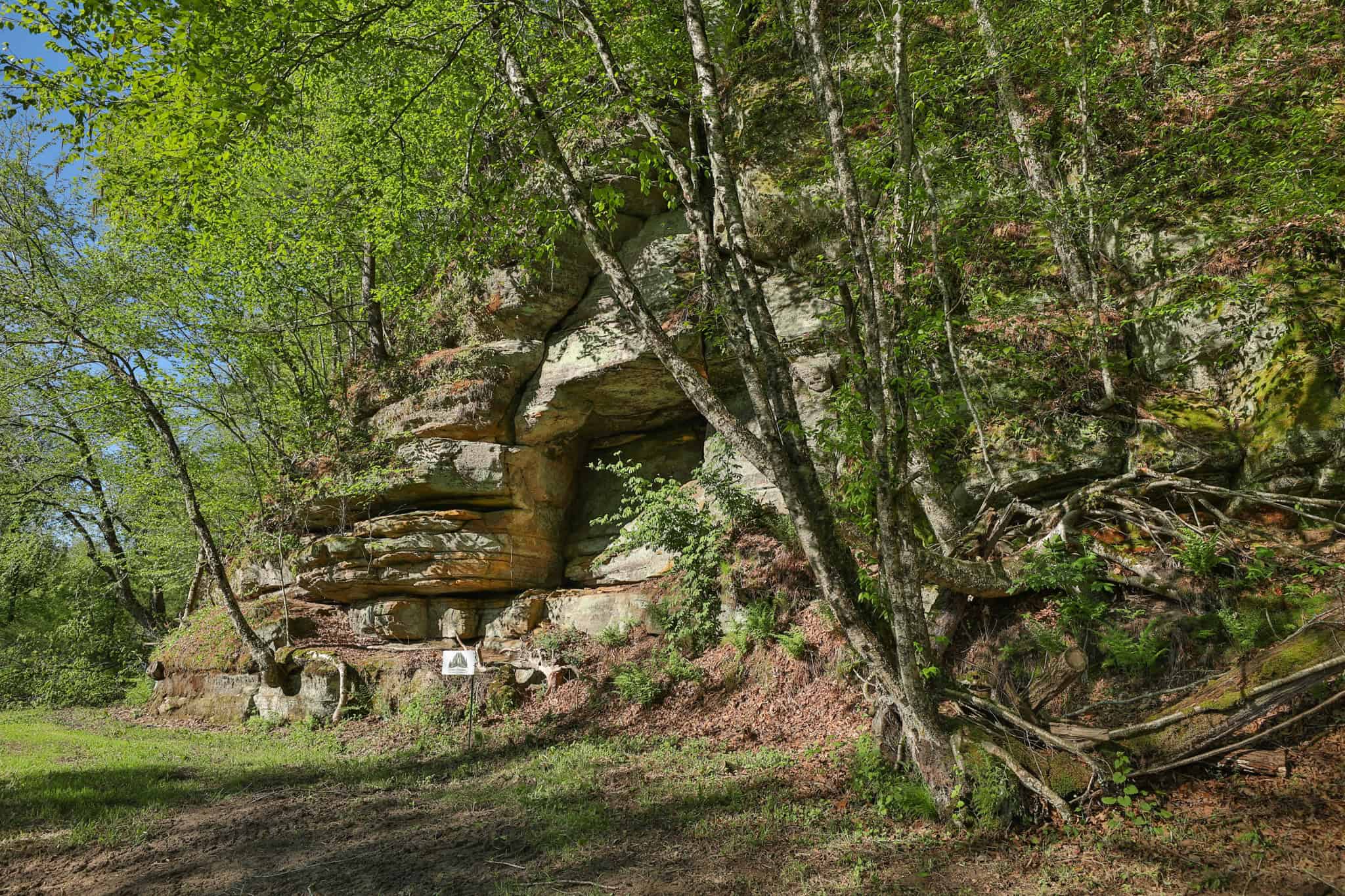 Three Ridges at Big Creek | 70± Acres of Recreational Land for Sale Near Lake Redstone | Juneau County, WI