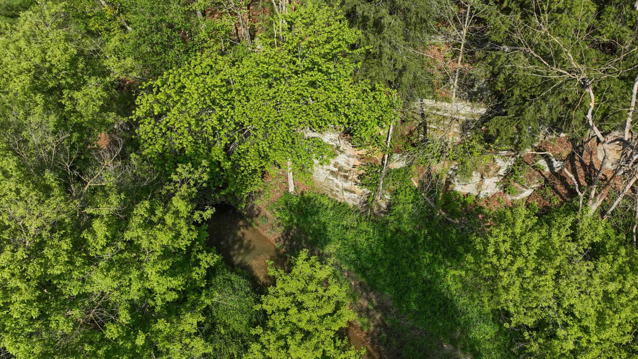 Three Ridges at Big Creek | 70± Acres of Recreational Land for Sale Near Lake Redstone | Juneau County, WI
