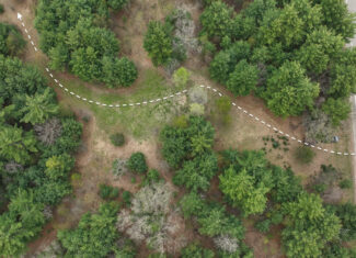 17.54-Acre Adams County, Wisconsin Buildable Land for Sale | Recreational, Investment & Development Potential