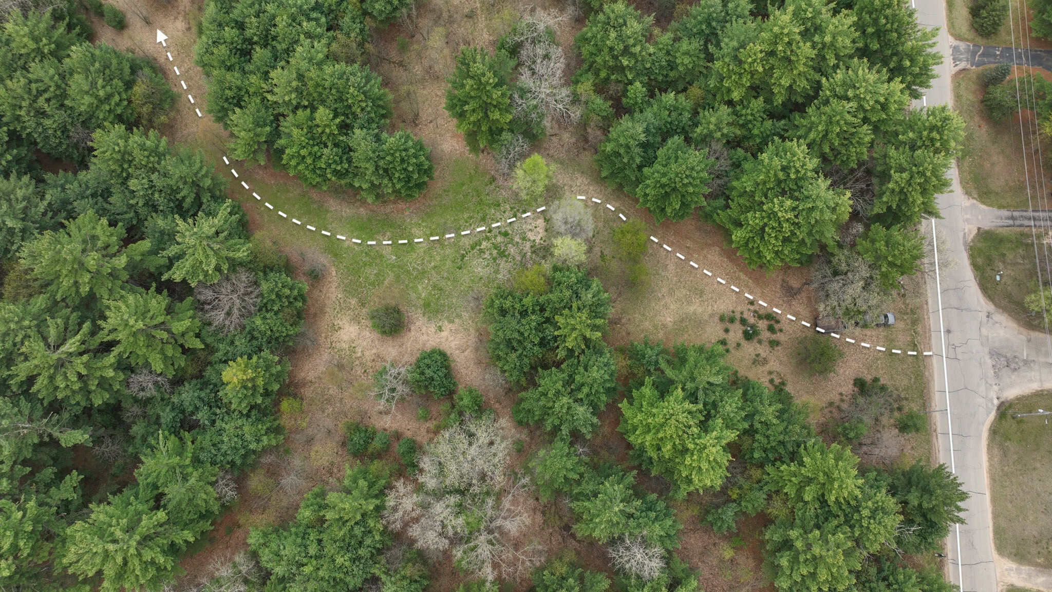 17.54-Acre Adams County, Wisconsin Buildable Land for Sale | Recreational, Investment & Development Potential