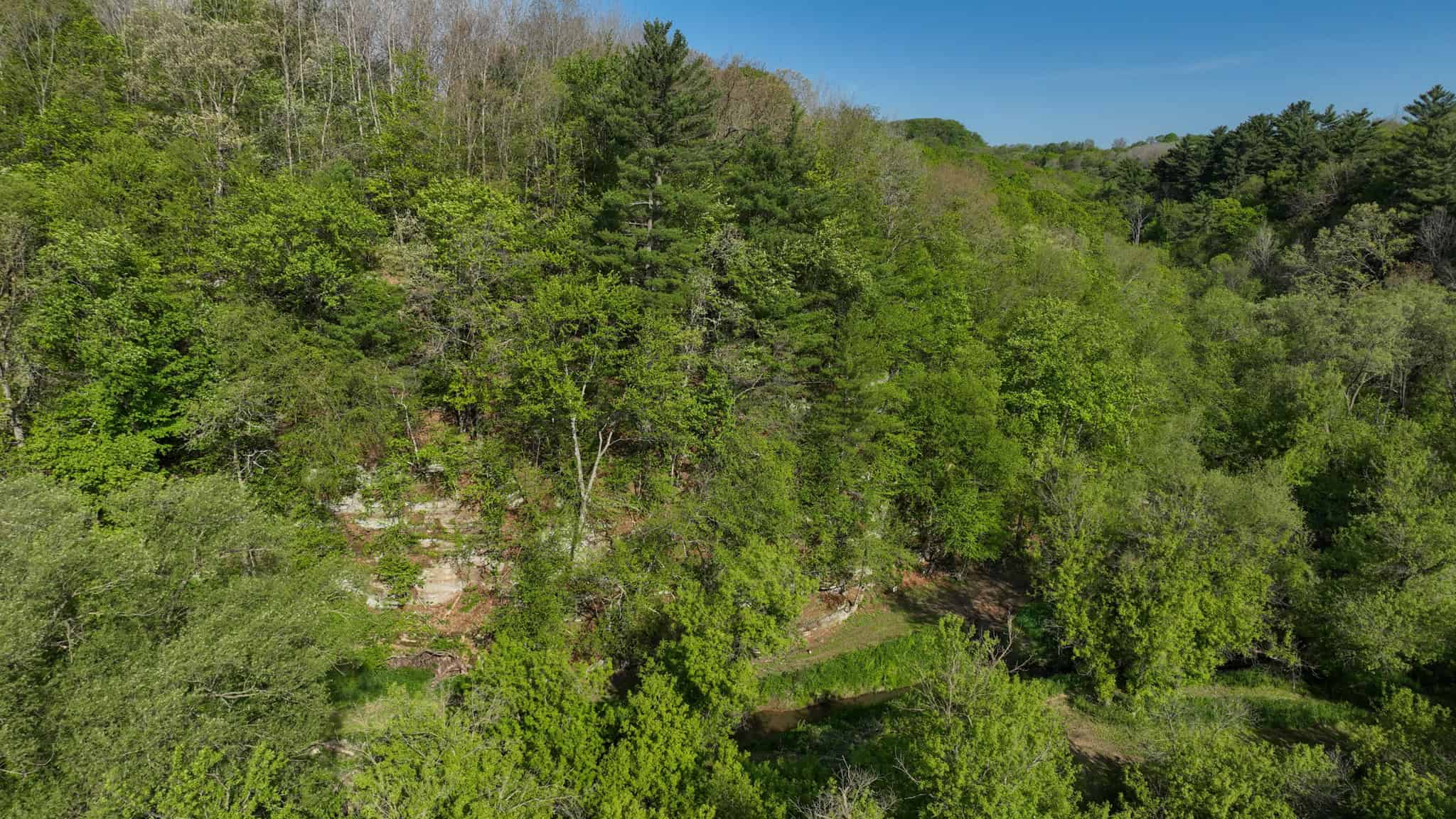 Three Ridges at Big Creek | 70± Acres of Recreational Land for Sale Near Lake Redstone | Juneau County, WI