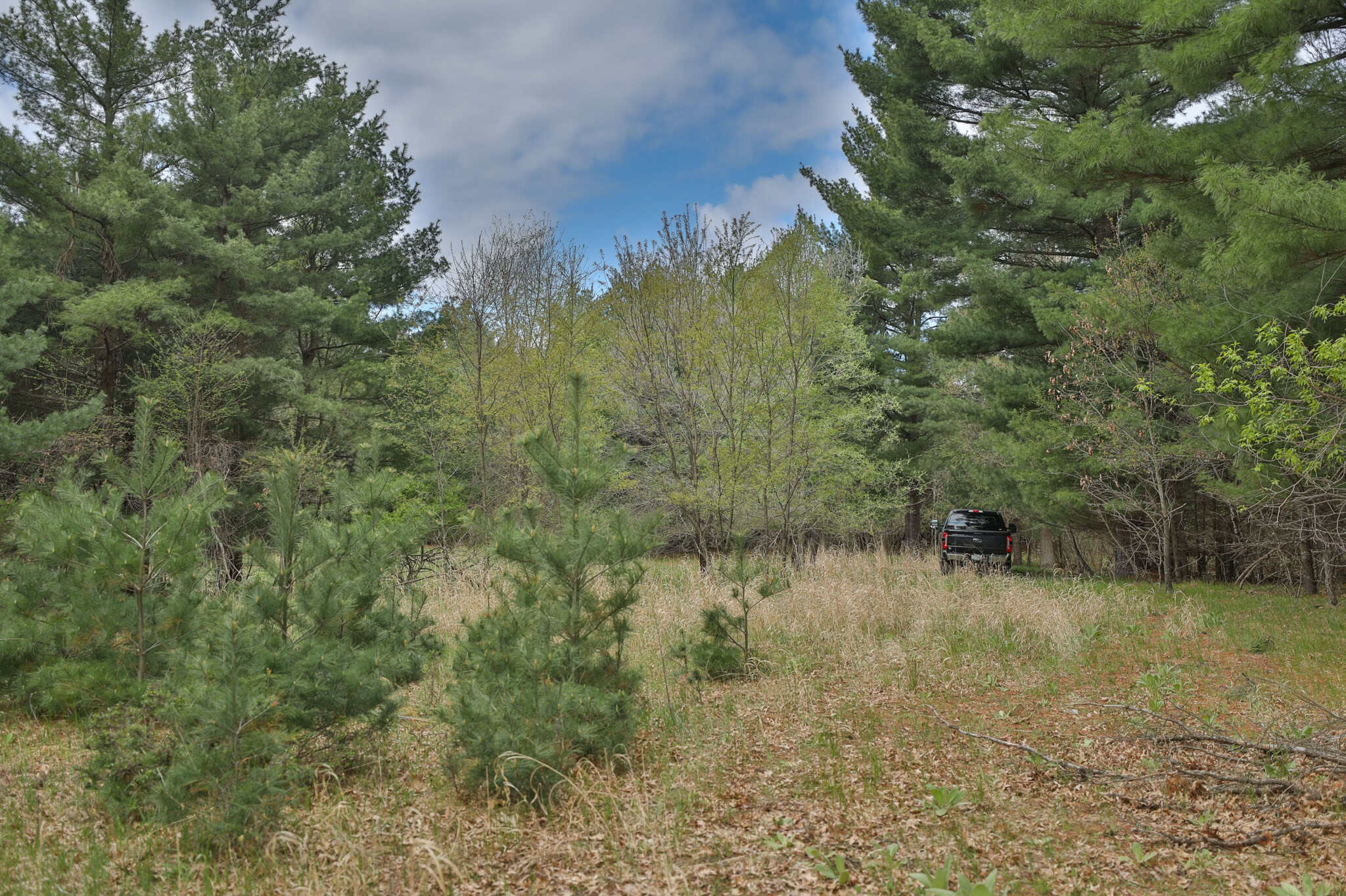 17.54-Acre Adams County, Wisconsin Buildable Land for Sale | Recreational, Investment & Development Potential