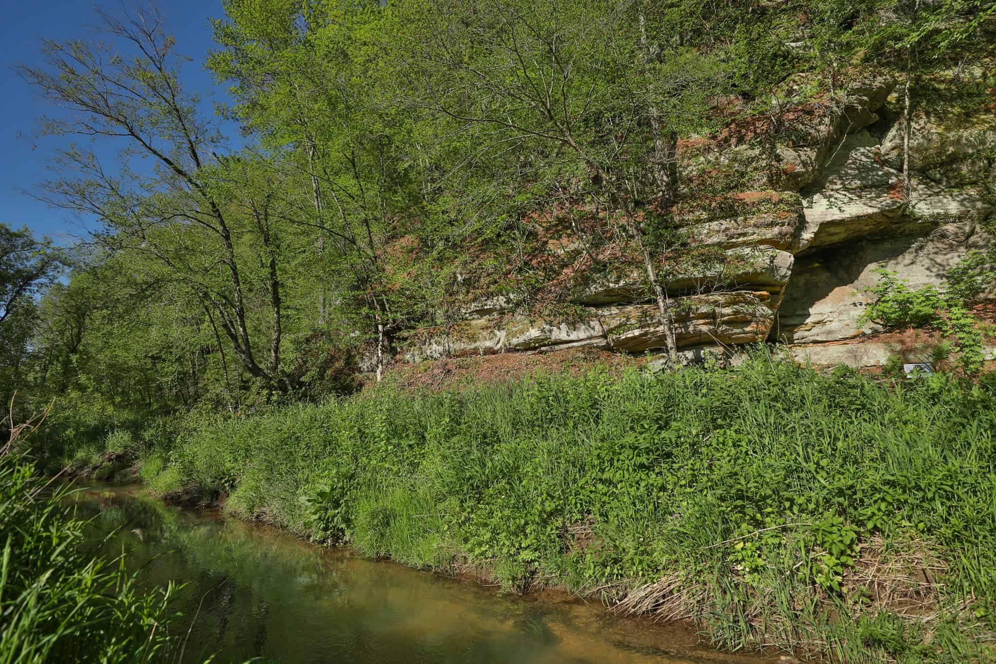 Three Ridges at Big Creek | 70± Acres of Recreational Land for Sale Near Lake Redstone | Juneau County, WI