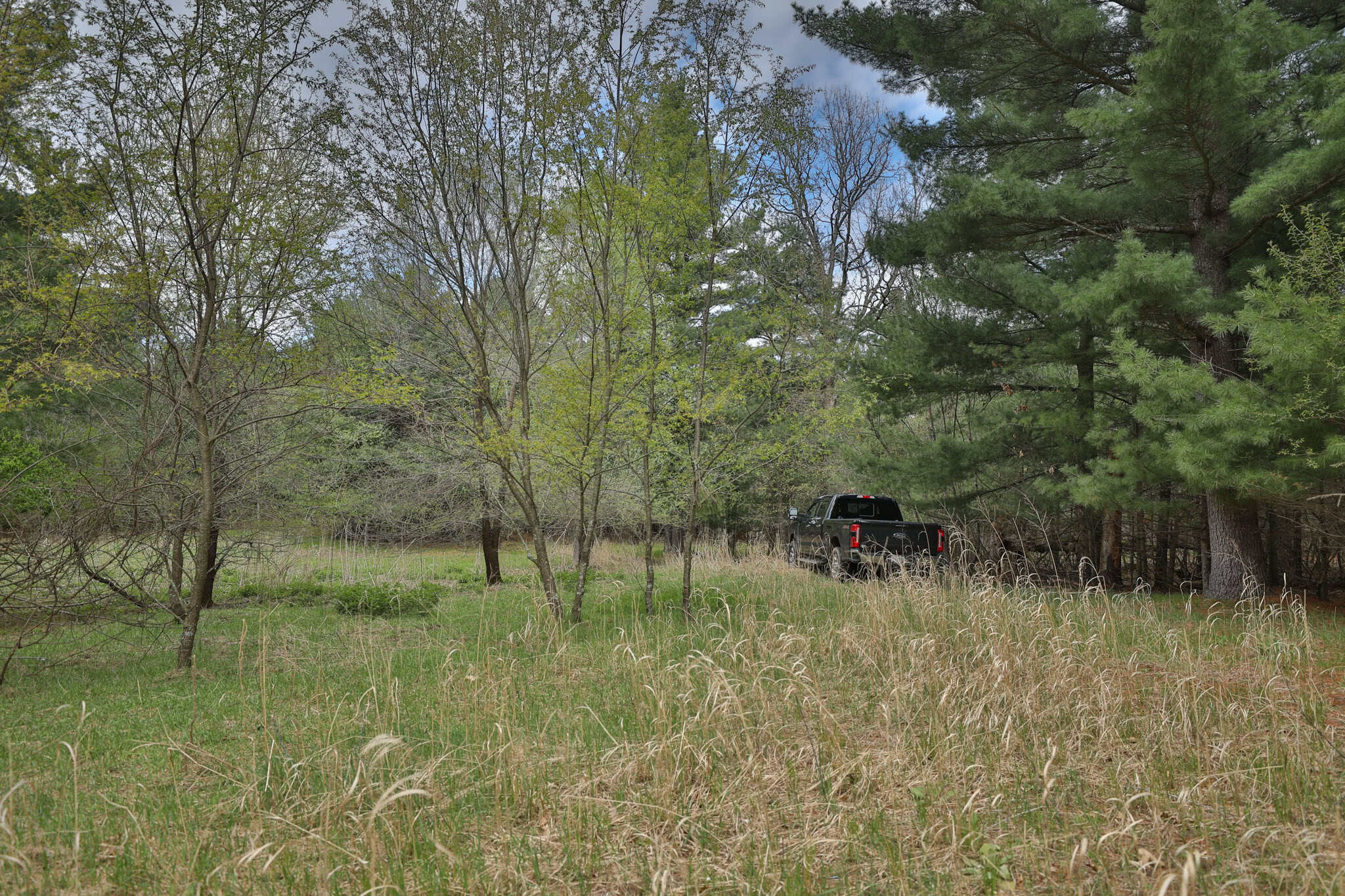 17.54-Acre Adams County, Wisconsin Buildable Land for Sale | Recreational, Investment & Development Potential