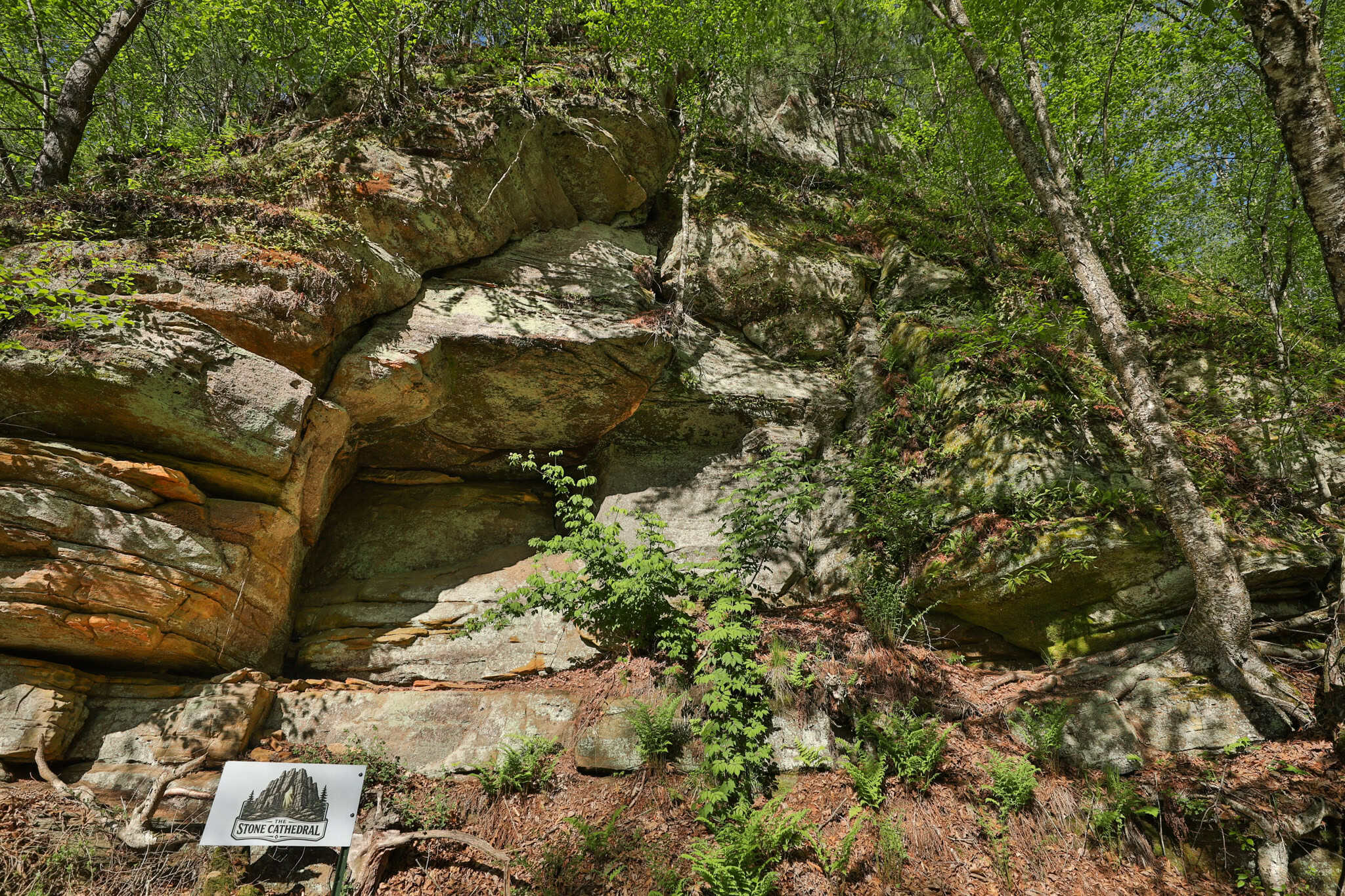 Three Ridges at Big Creek | 70± Acres of Recreational Land for Sale Near Lake Redstone | Juneau County, WI