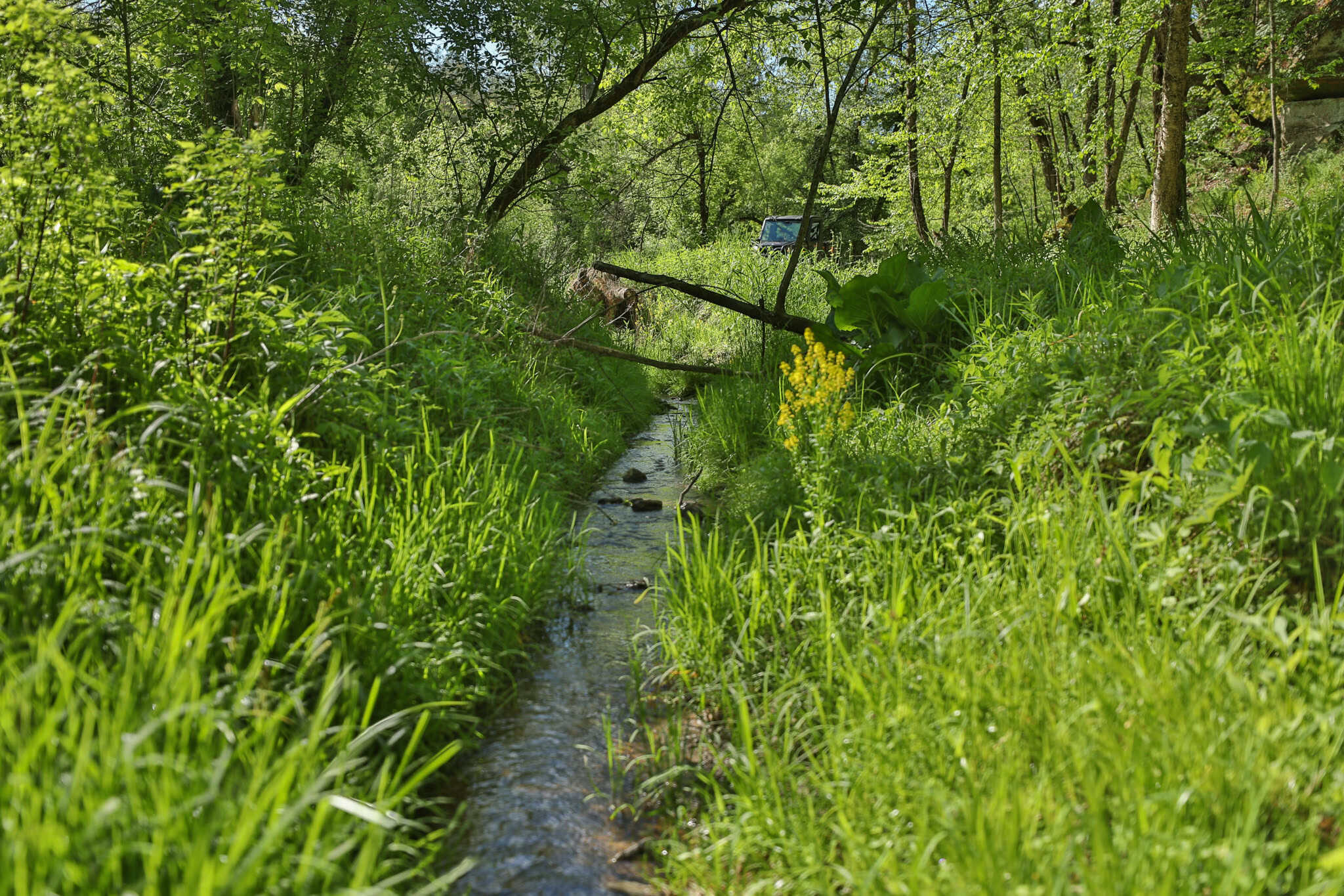 Three Ridges at Big Creek | 70± Acres of Recreational Land for Sale Near Lake Redstone | Juneau County, WI