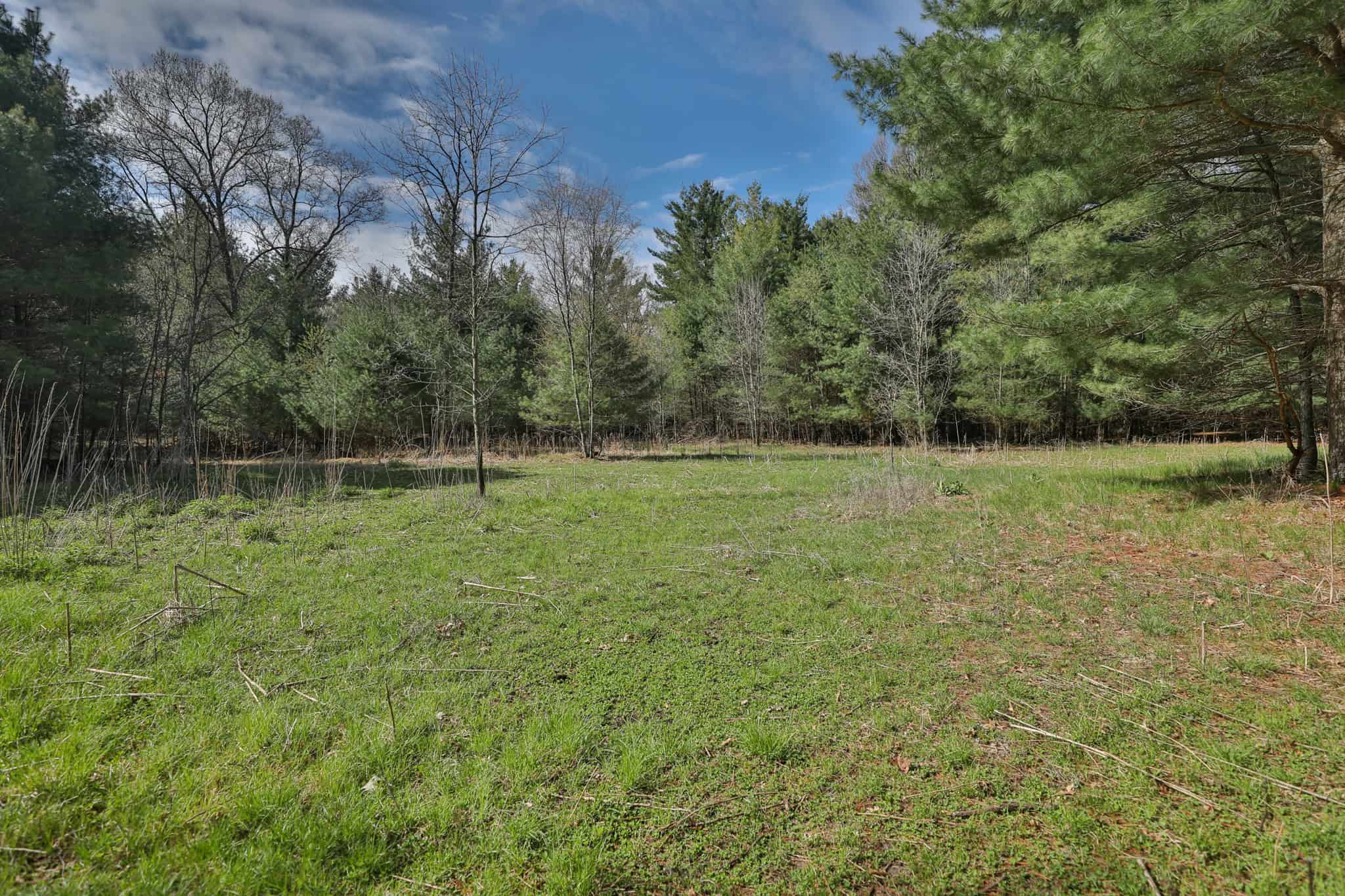 17.54-Acre Adams County, Wisconsin Buildable Land for Sale | Recreational, Investment & Development Potential