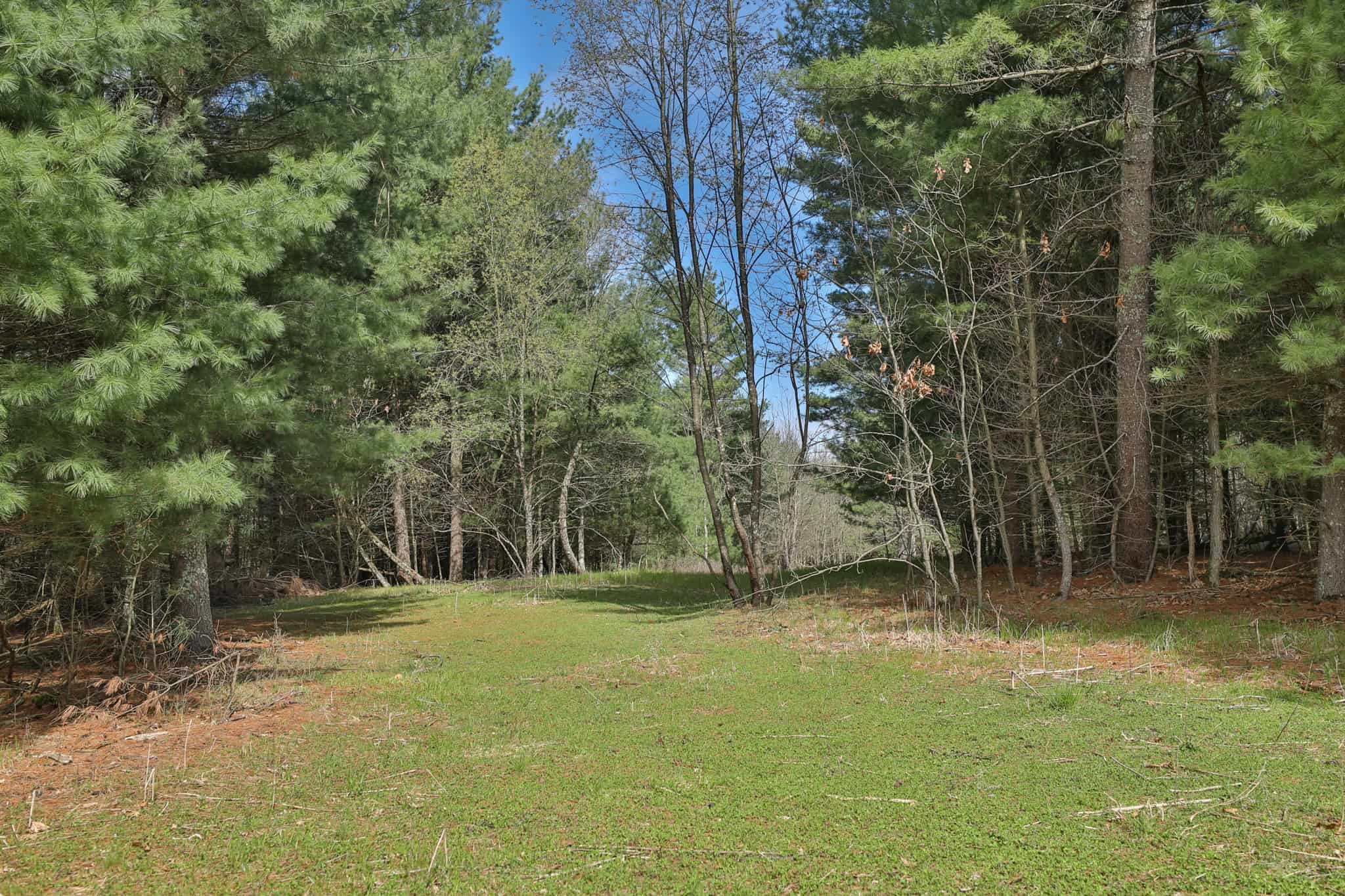 17.54-Acre Adams County, Wisconsin Buildable Land for Sale | Recreational, Investment & Development Potential