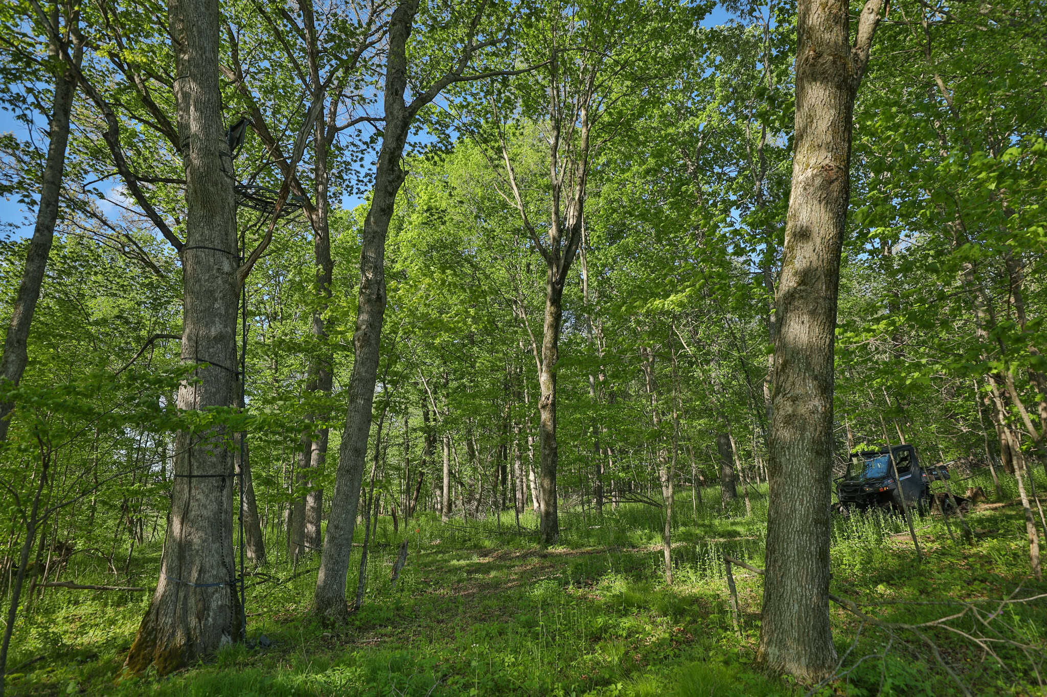 Three Ridges at Big Creek | 70± Acres of Recreational Land for Sale Near Lake Redstone | Juneau County, WI