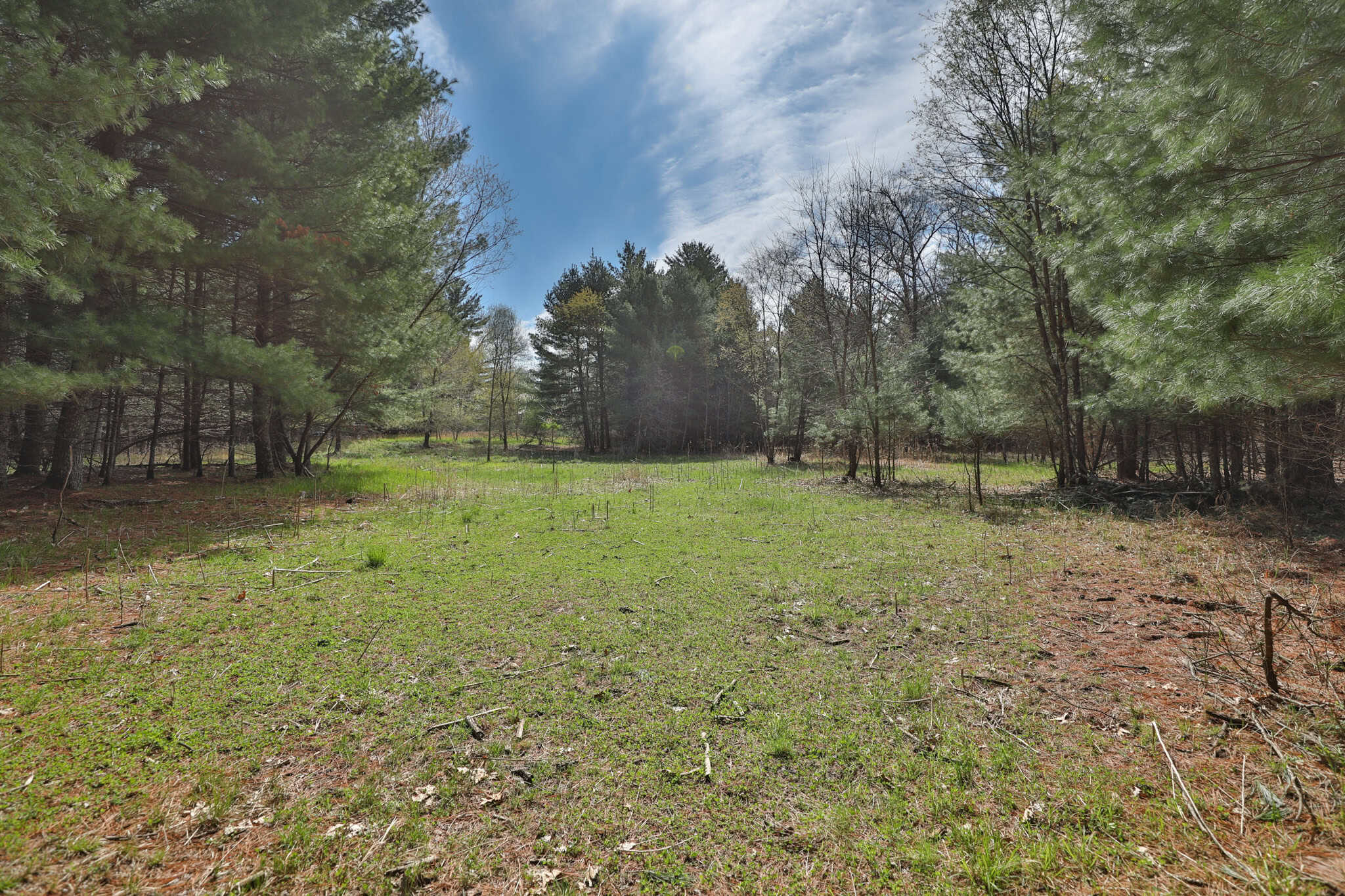 17.54-Acre Adams County, Wisconsin Buildable Land for Sale | Recreational, Investment & Development Potential