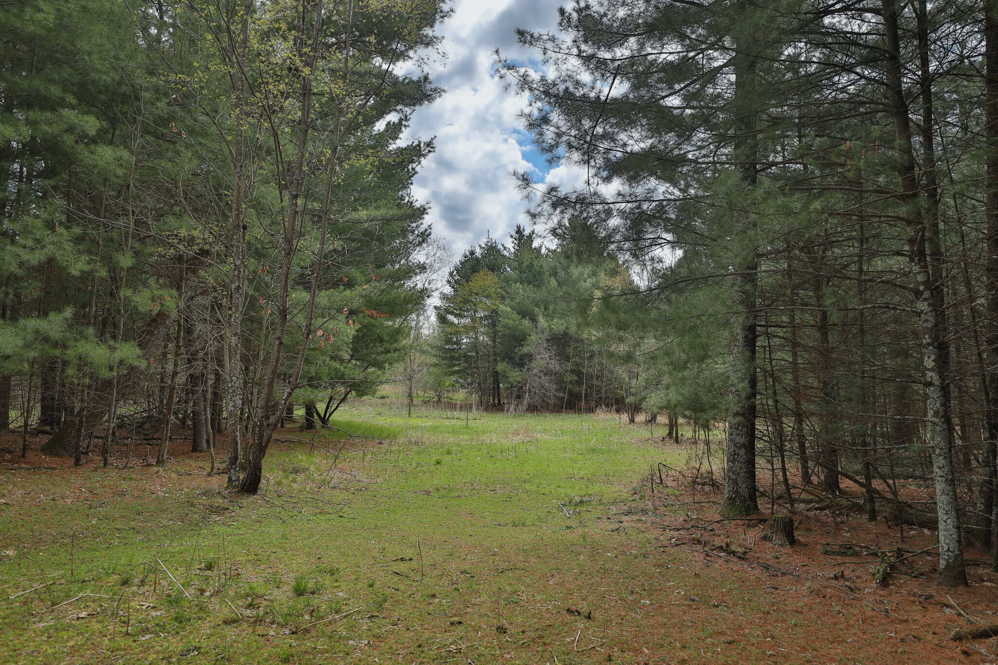 17.54-Acre Adams County, Wisconsin Buildable Land for Sale | Recreational, Investment & Development Potential