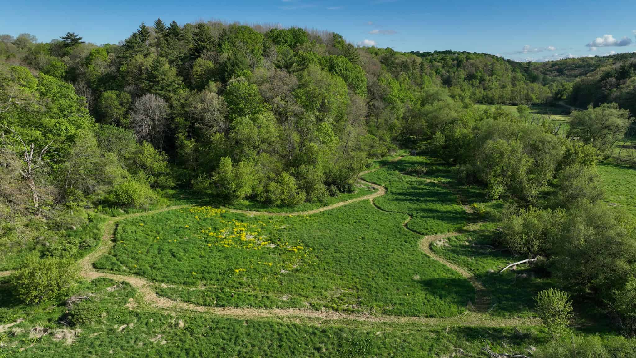 Three Ridges at Big Creek | 70± Acres of Recreational Land for Sale Near Lake Redstone | Juneau County, WI
