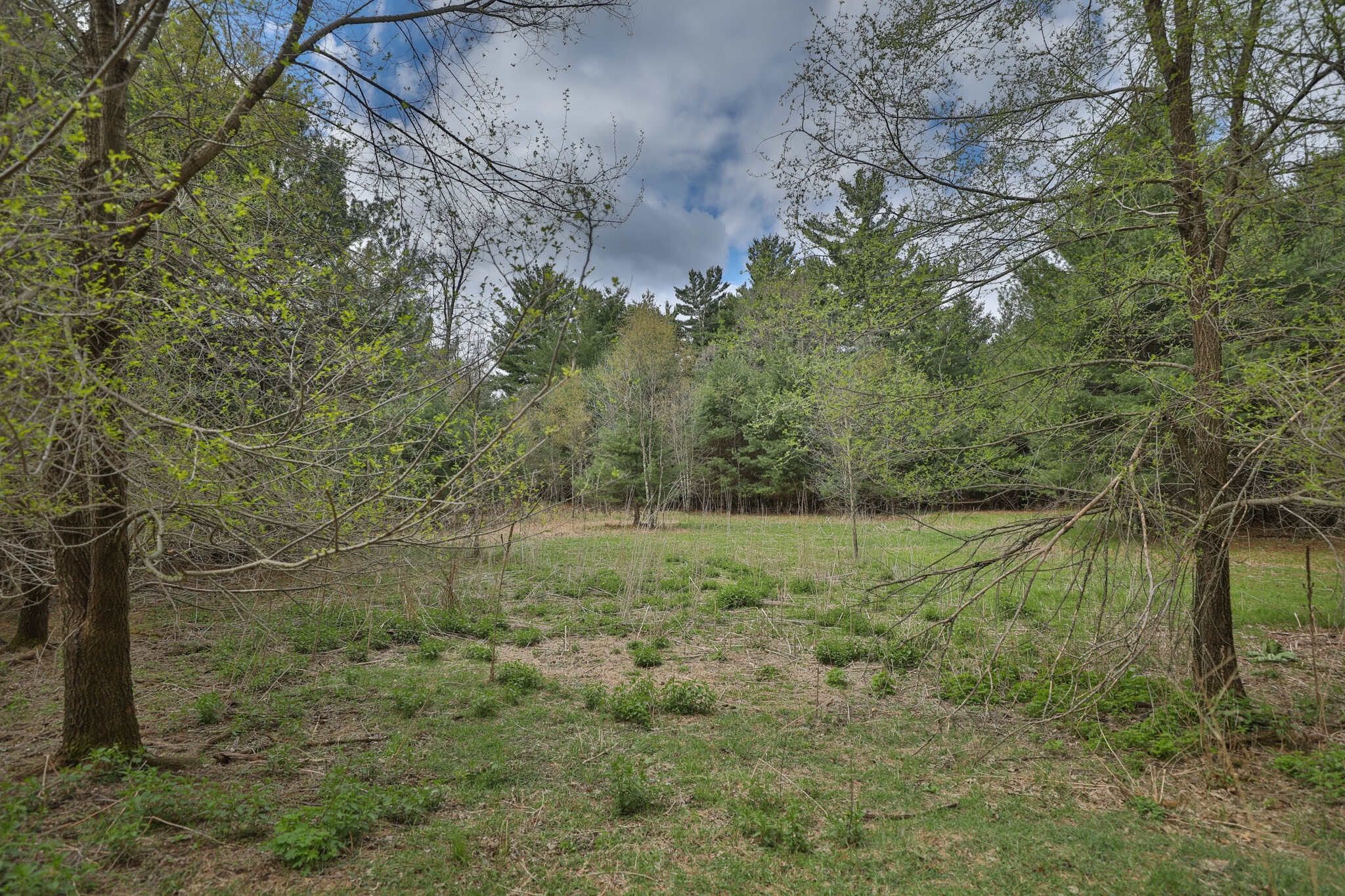 17.54-Acre Adams County, Wisconsin Buildable Land for Sale | Recreational, Investment & Development Potential