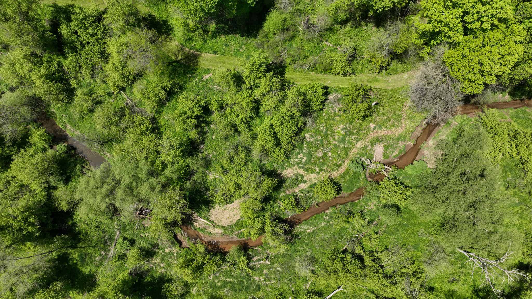 Three Ridges at Big Creek | 70± Acres of Recreational Land for Sale Near Lake Redstone | Juneau County, WI