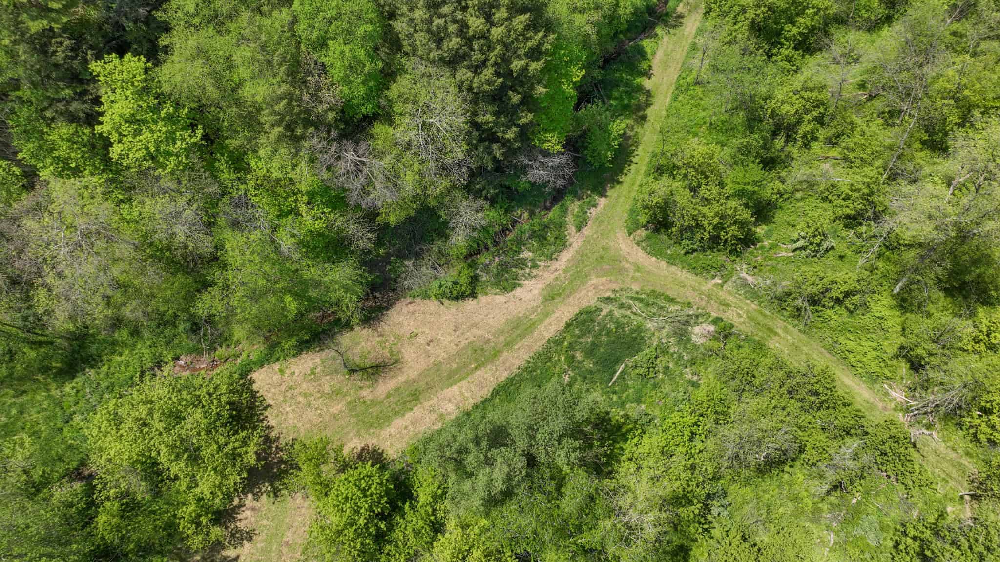 Three Ridges at Big Creek | 70± Acres of Recreational Land for Sale Near Lake Redstone | Juneau County, WI