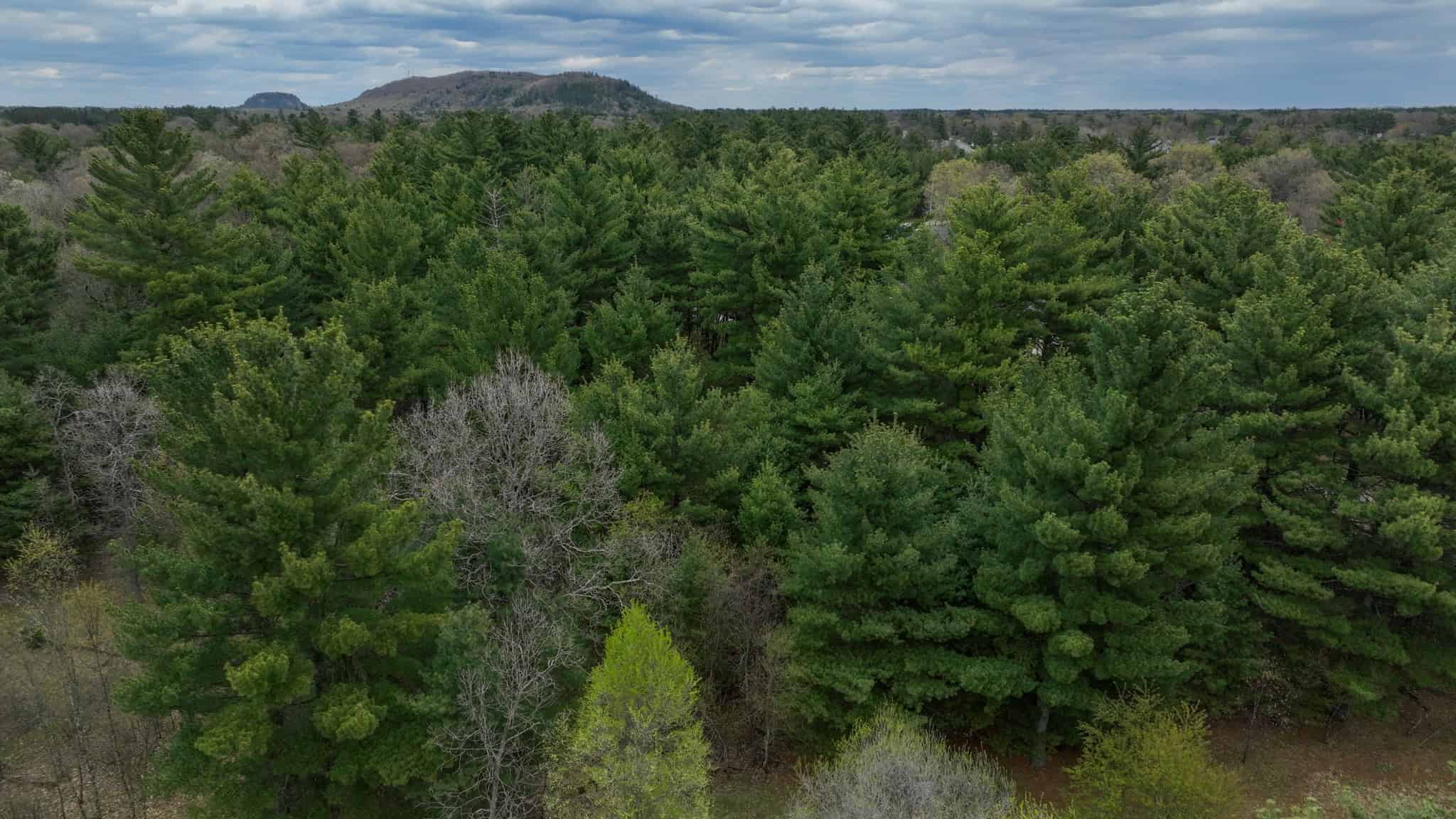 17.54-Acre Adams County, Wisconsin Buildable Land for Sale | Recreational, Investment & Development Potential