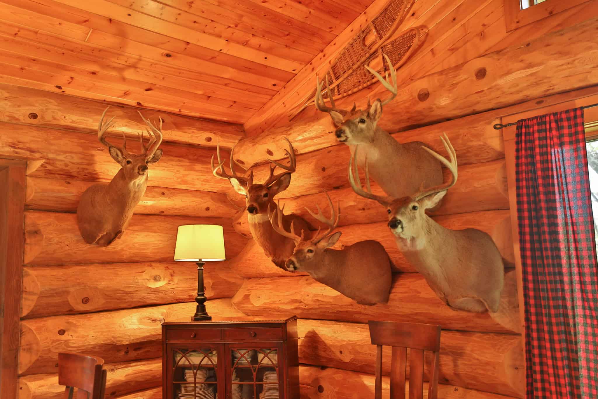 30-Acre Luxury Log Estate | Trophy Whitetail Sanctuary & Private Legacy Retreat in Argyle